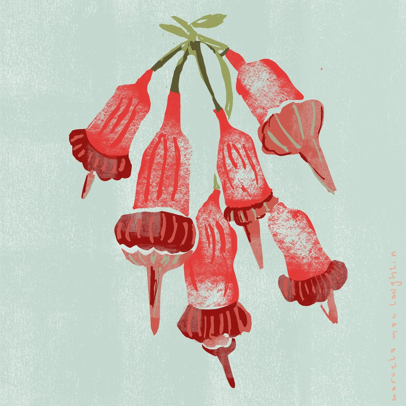 Campanitas 🥀 @marcemaclau
-
-
-
-
-
-
-
#campanitas #flower_daily #flower_special_ #redflowers #bellflower #digitaldrawing #florals #flowerdrawing #wallart #wallartdecor #wallartwork #marcemaclau