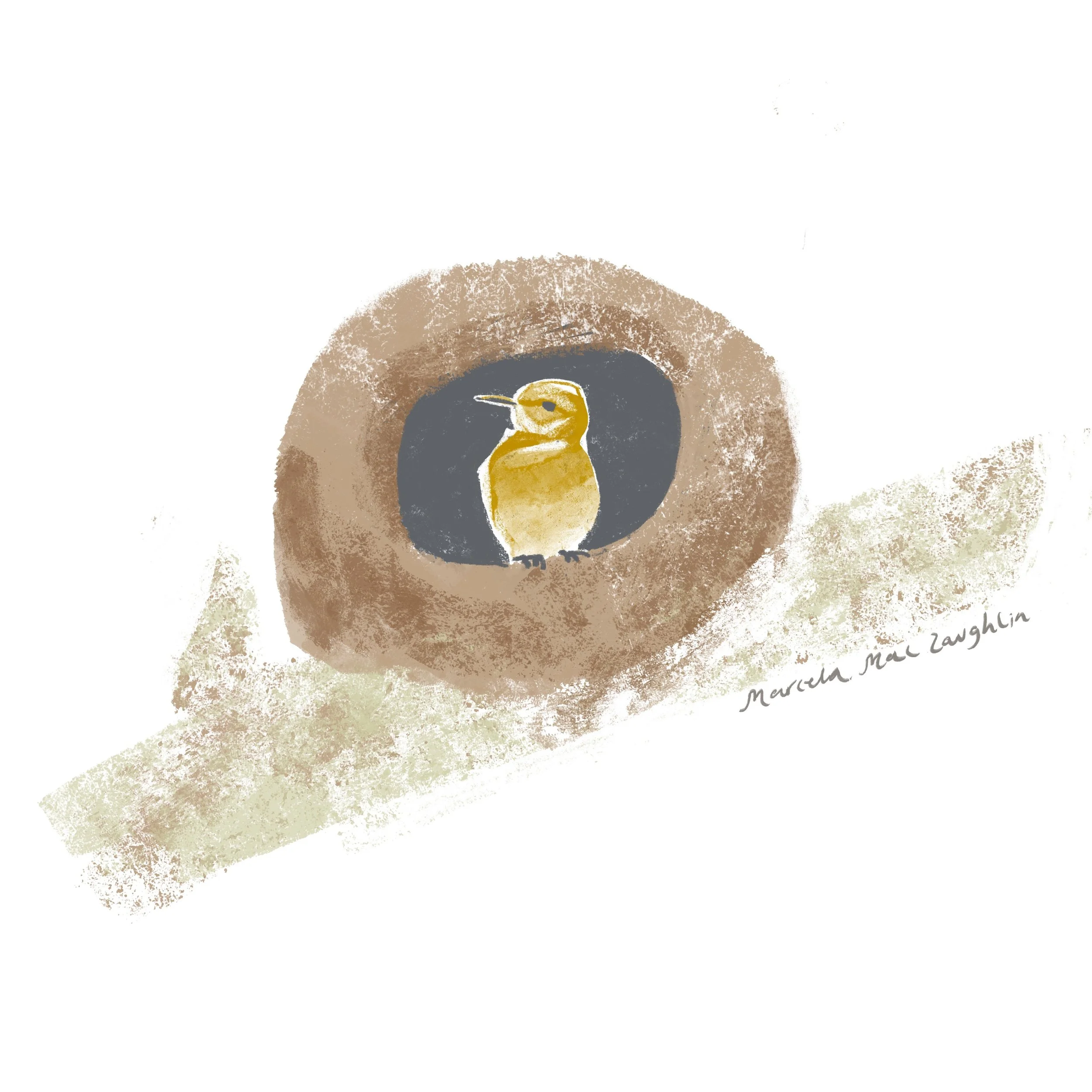 Hornero, el ave nacional 🇦🇷 construye su casa con barro 🩵 @marcemaclau
-
-
-
-
-
-
#hornero #horneros #avenacionaldeargentina #pajarosargentinos #pajaros #ilustraciones #ilustraciondeldia #ilustraciondepajaros #marcemaclau