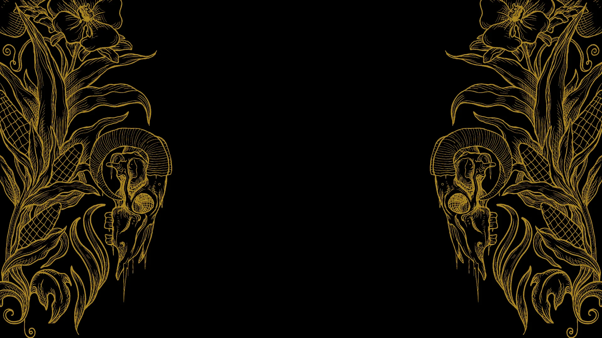 sk9-background.jpg