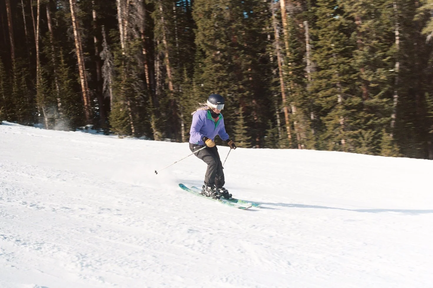 macdonaldaa008 2.JPG