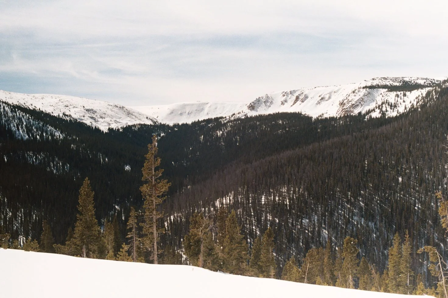 macdonaldaa012 4.JPG