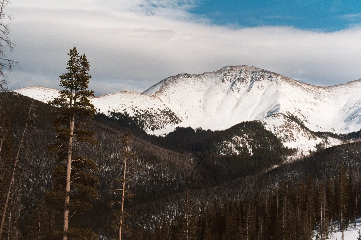 macdonaldaa014 2.JPG