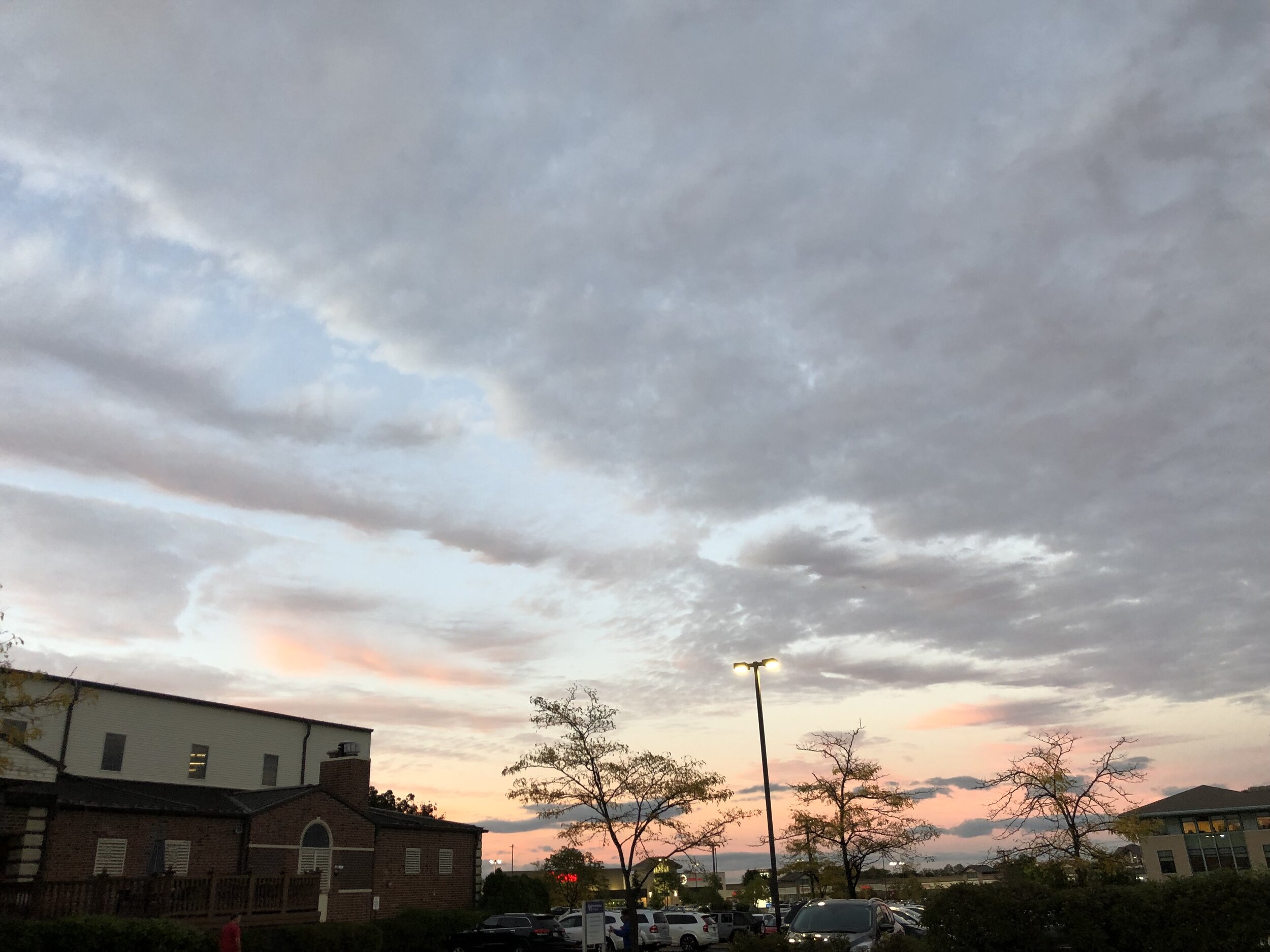 IMG_1234.jpeg
