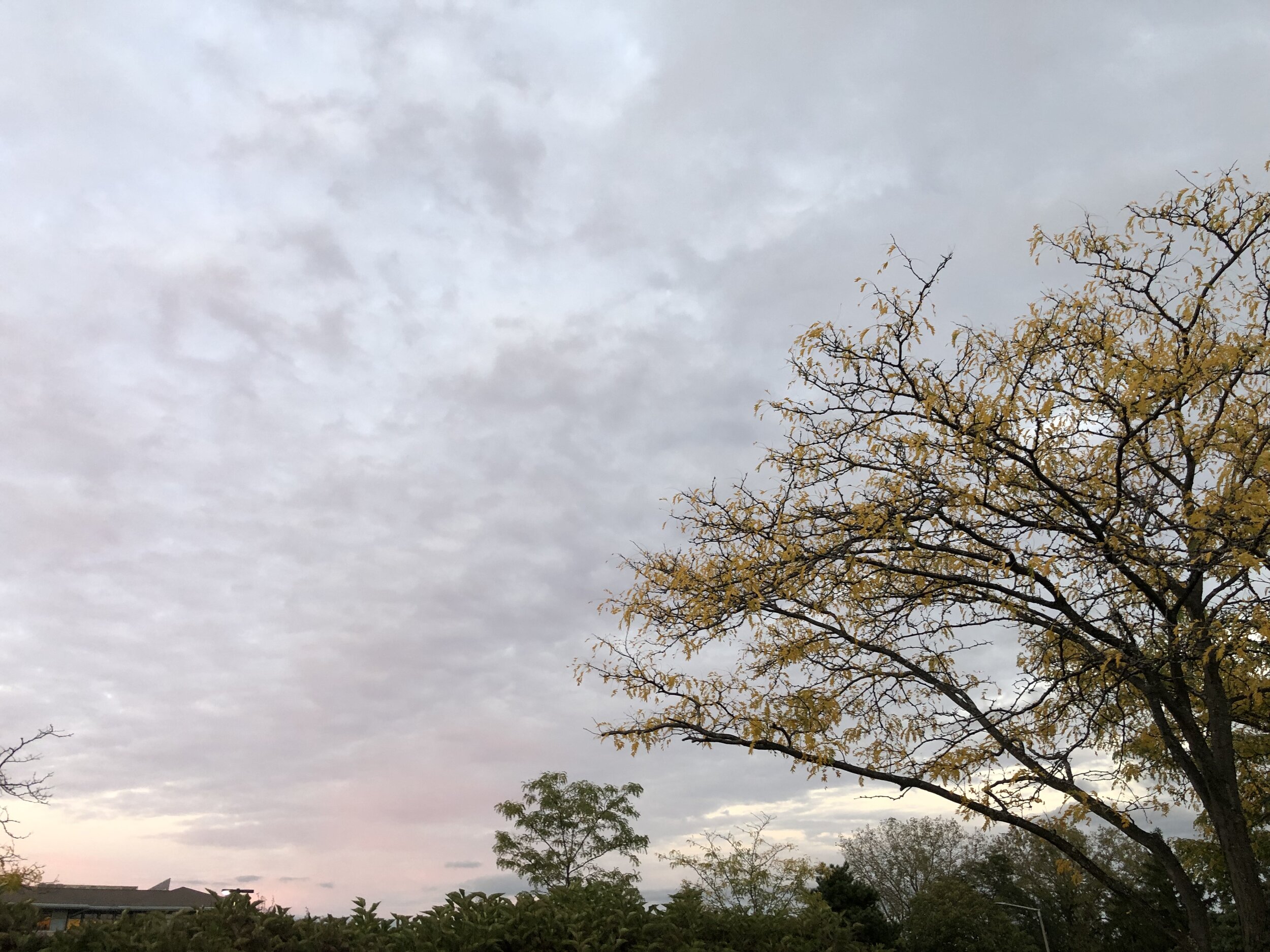 IMG_1236.jpeg