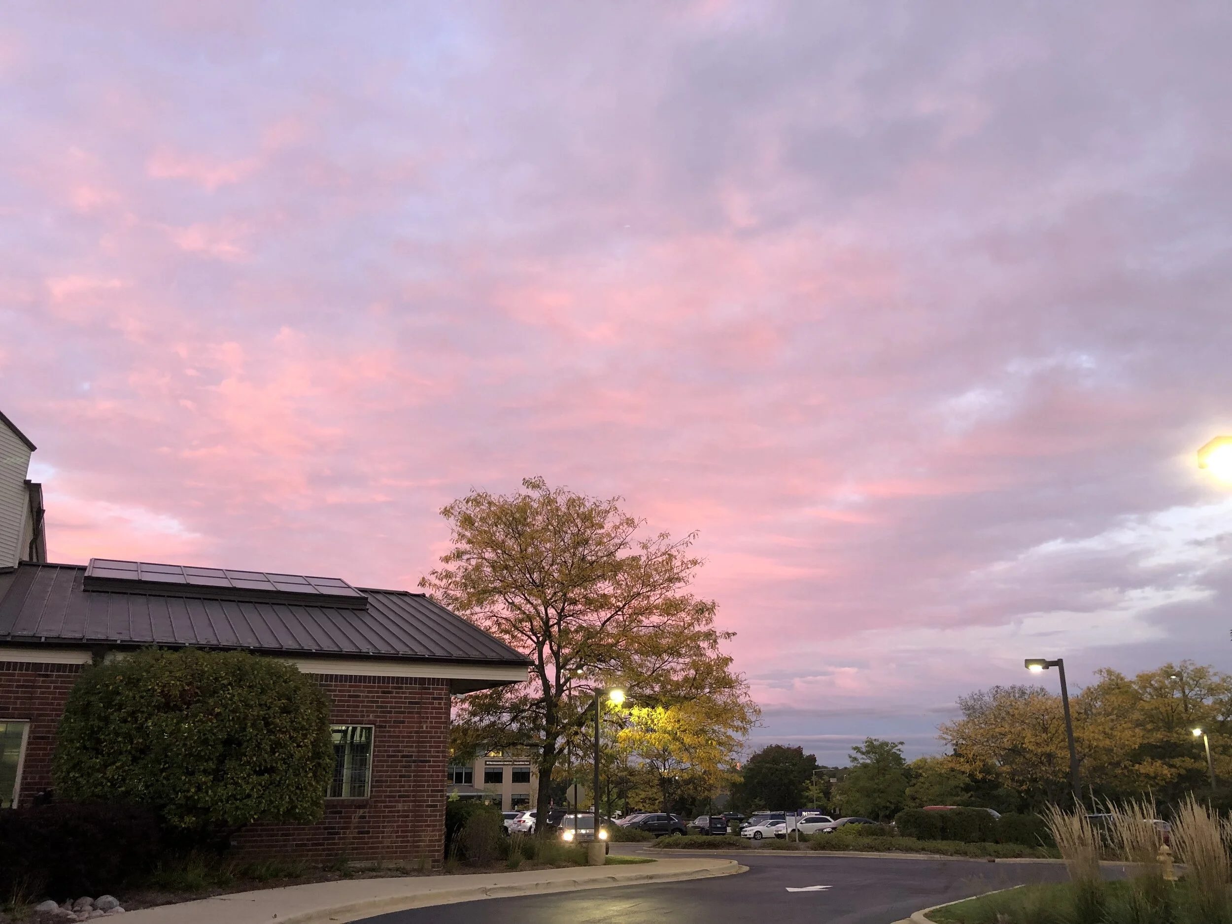 IMG_1242.jpeg