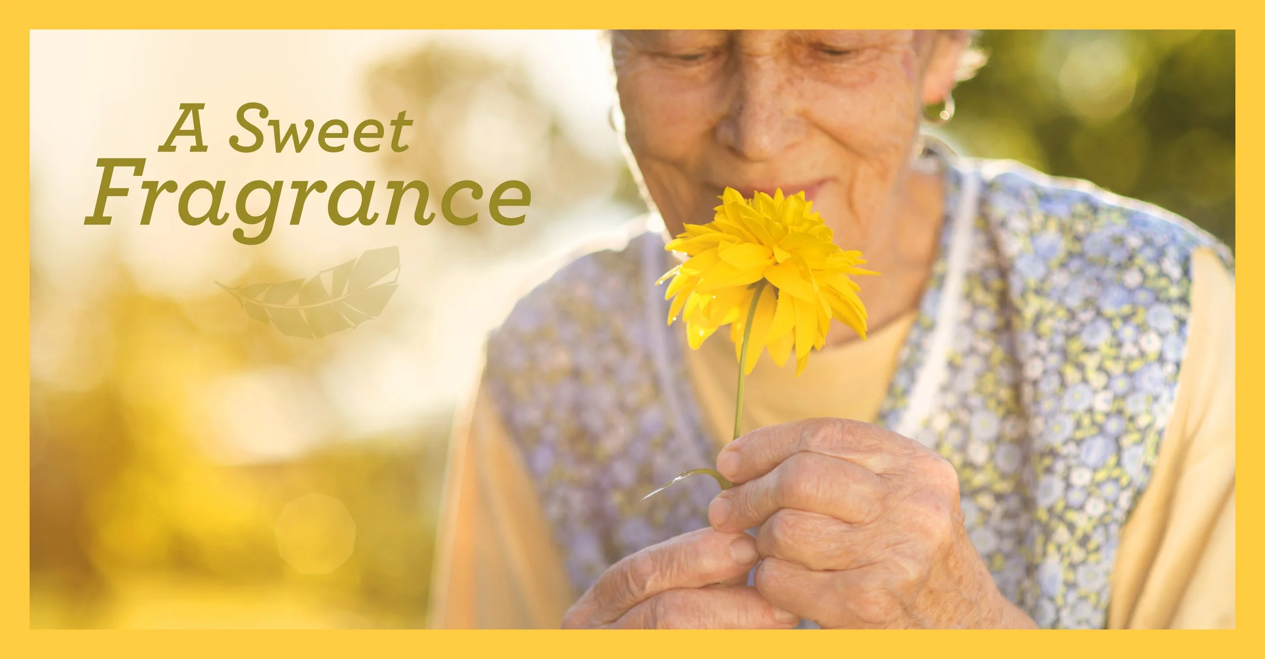 A Sweet Fragrance