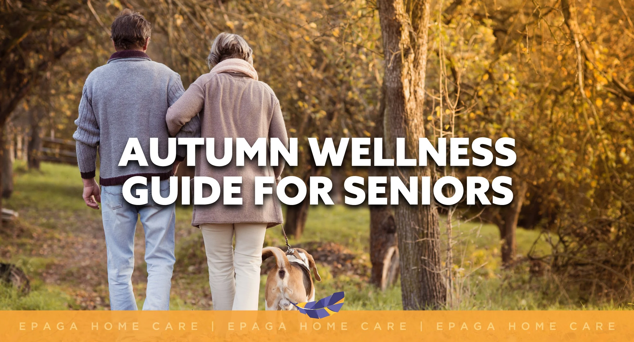 Autumn Wellness Guide for Seniors