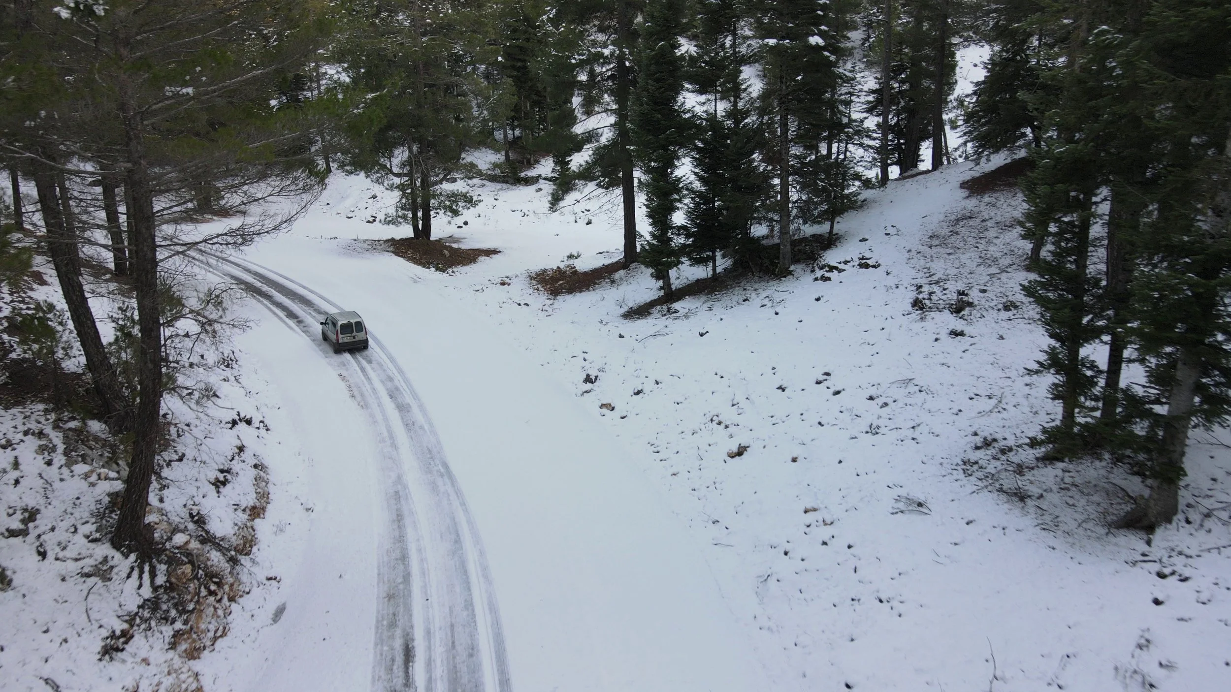 5 Safety Tips for Traveling with Your Aging Loved One This Holiday Season