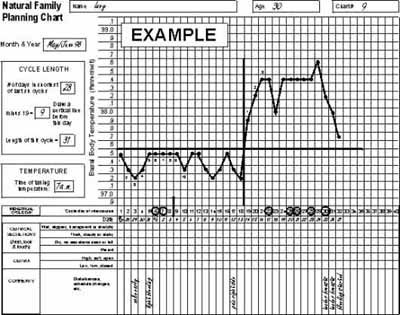 Creighton Model Chart Printable