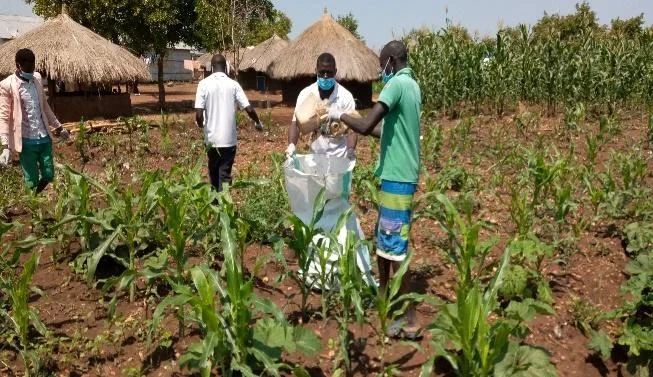 Picture SEQ Picture \* ARABIC 1: The youth of Destined youth group in Ofua 2 collecting plastic waste from gardens of refugee communities.
