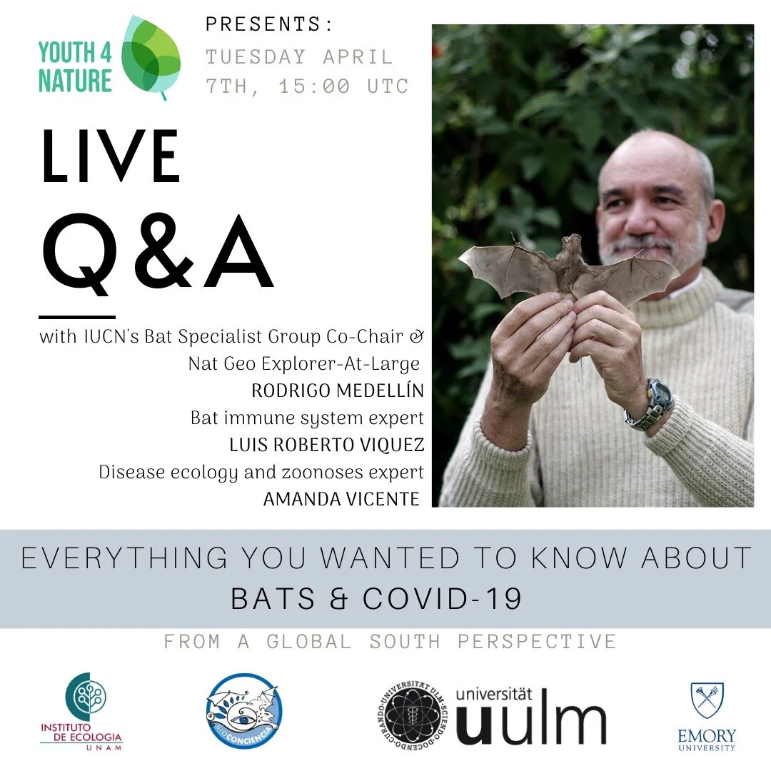 Everything You Wanted to Know about Bats and COVID-19: From a Global South Perspective
