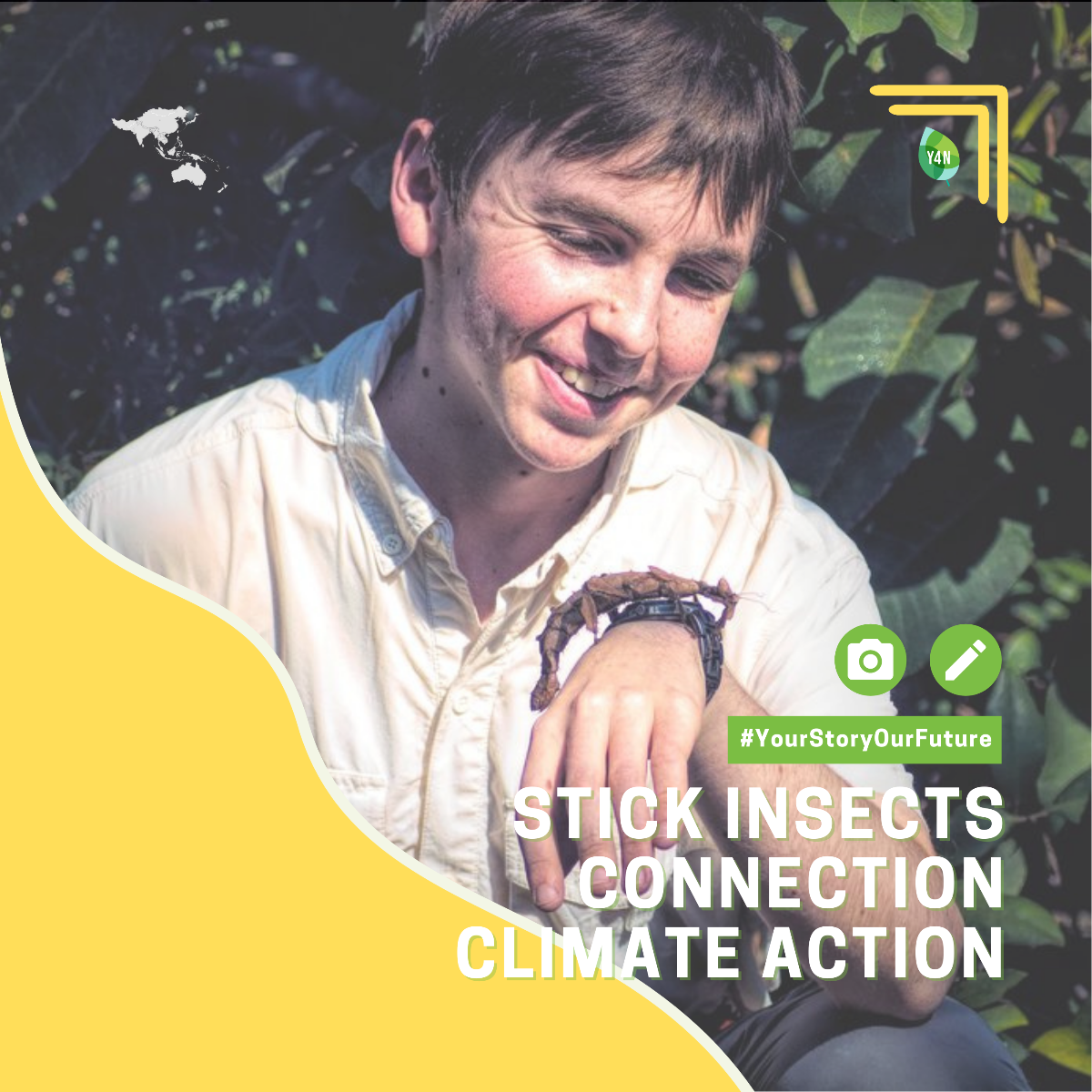 Stick Insects, Connection, Climate Action (Copy)