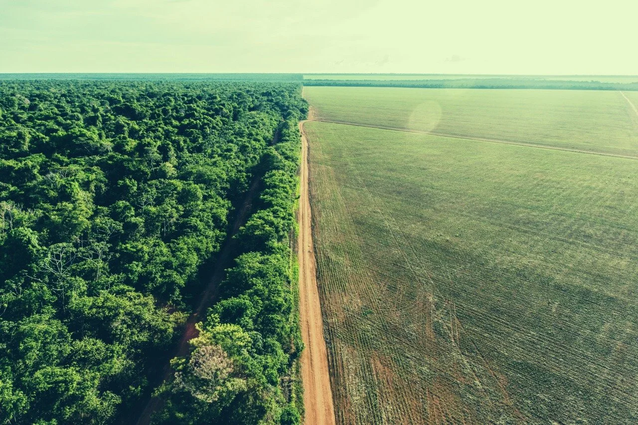 A Unified Youth Voice on Nature-based Solutions