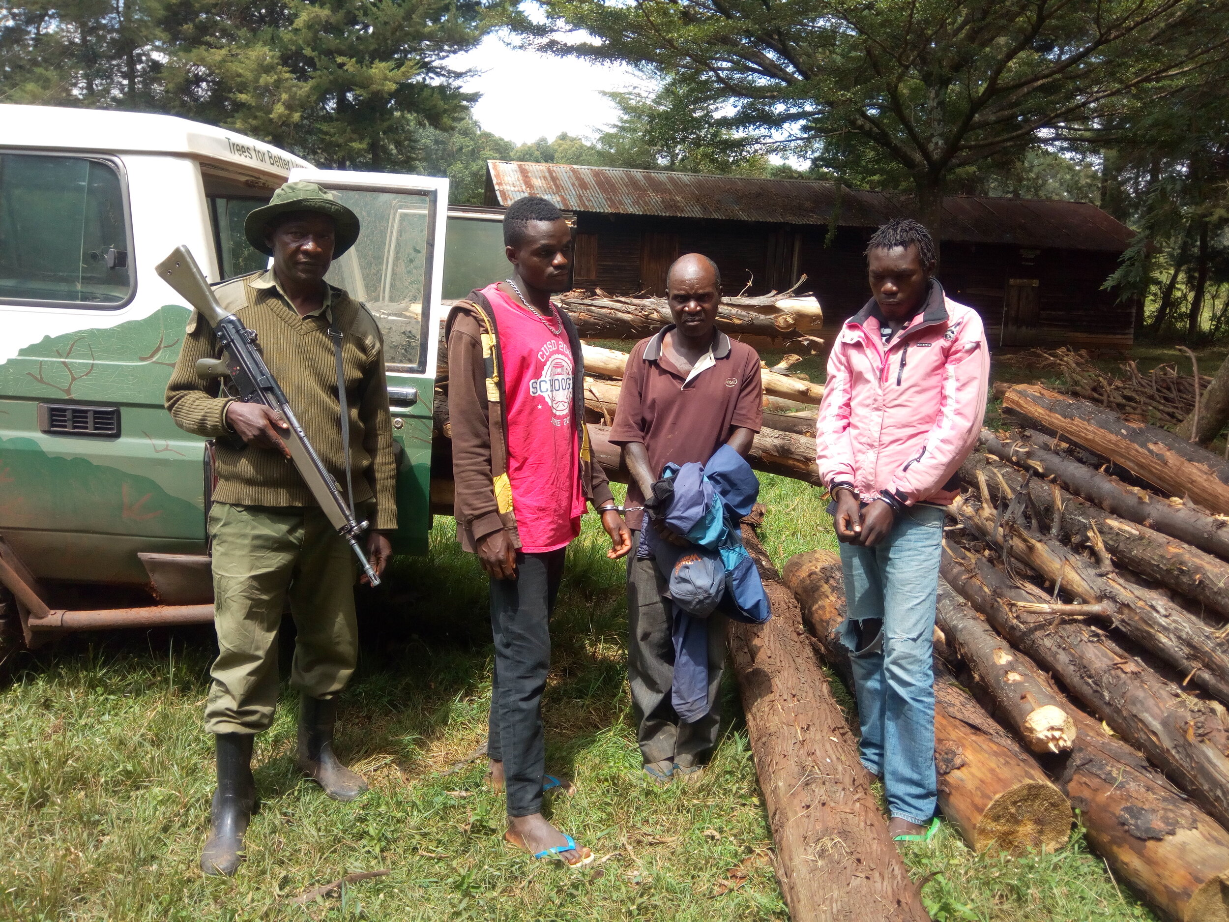 Fig 6: Arrested illegal loggers