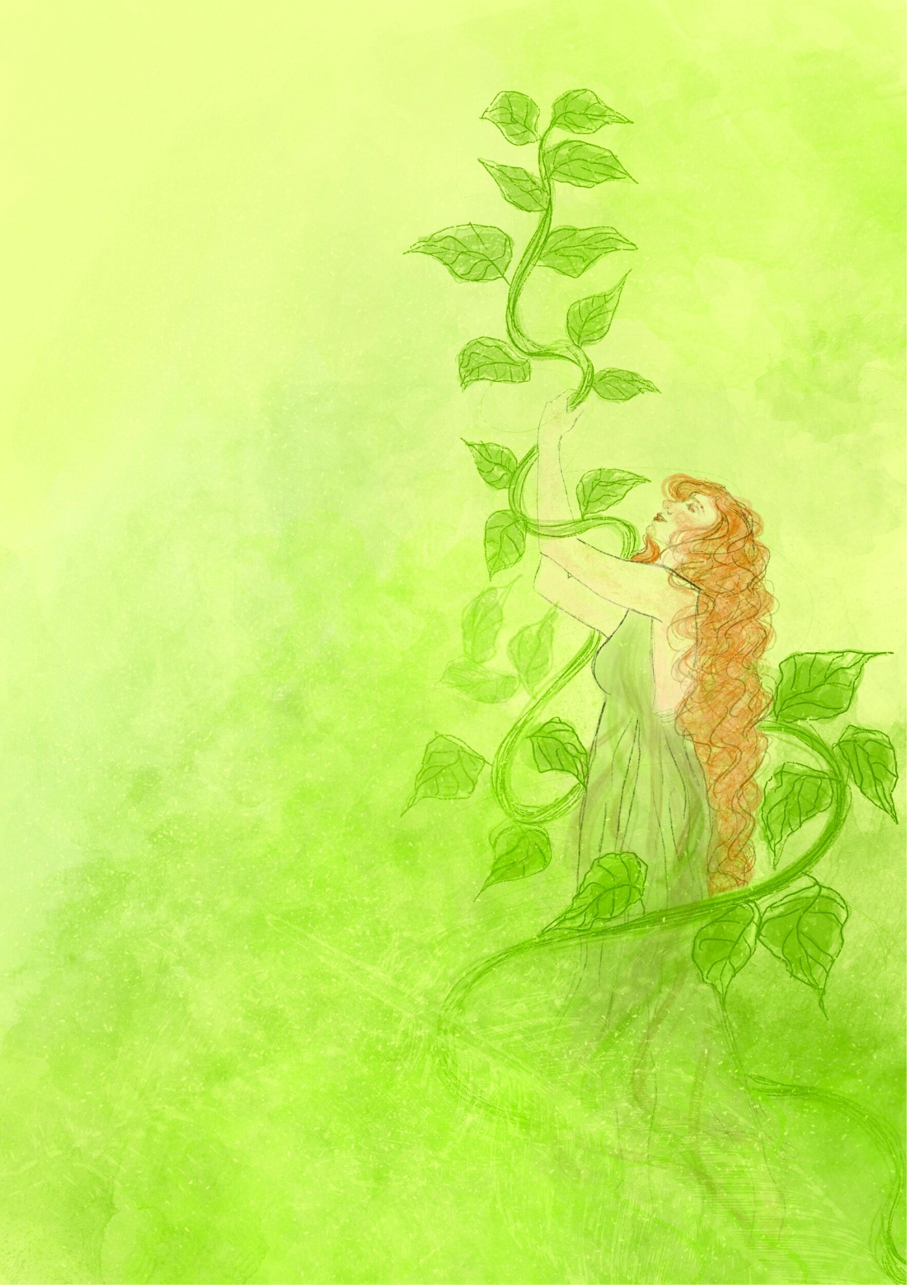 Once Upon a Time... Cerrado