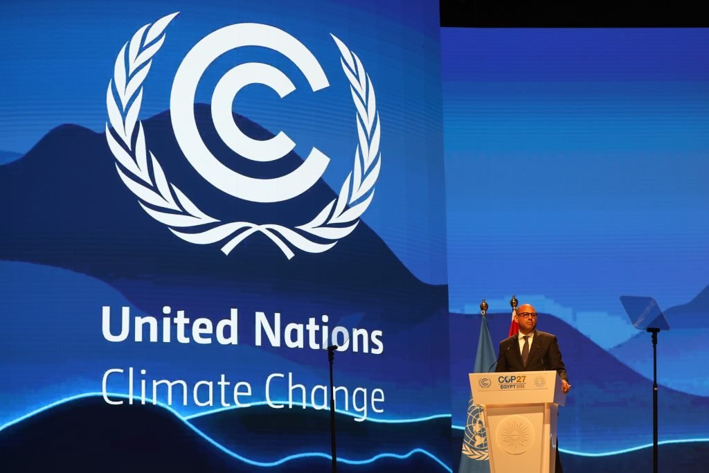 What happens at a COP climate summit?