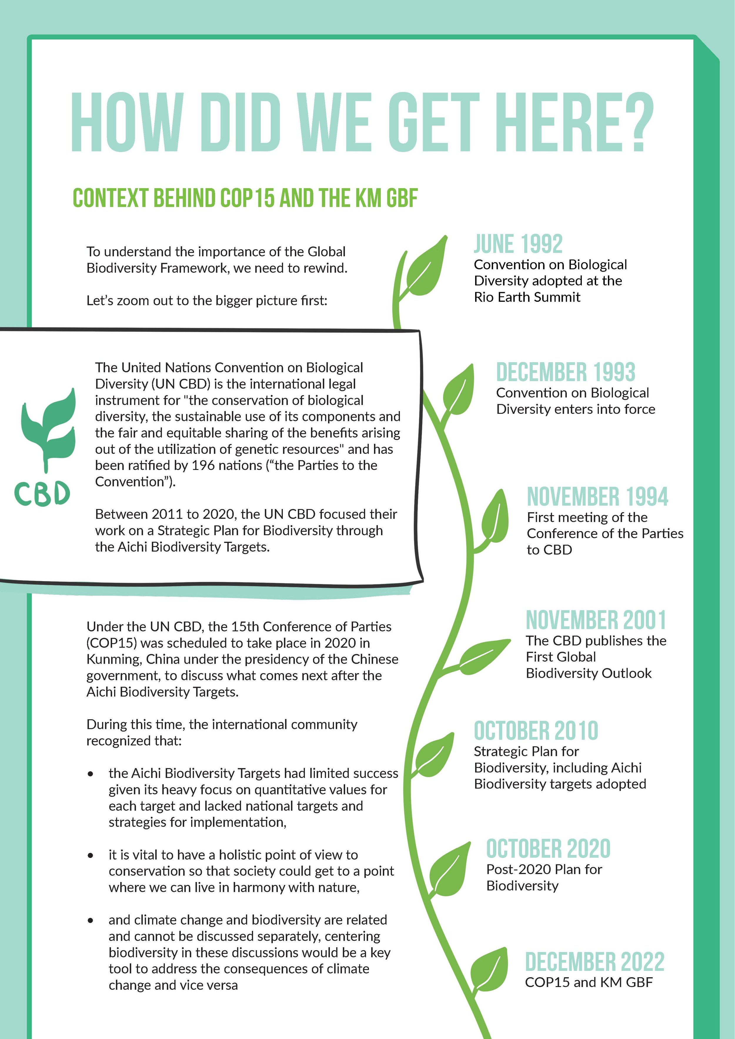 The Global Biodiversity Framework_A Y4N Perspective_Illustrated Report_Page_03.jpg