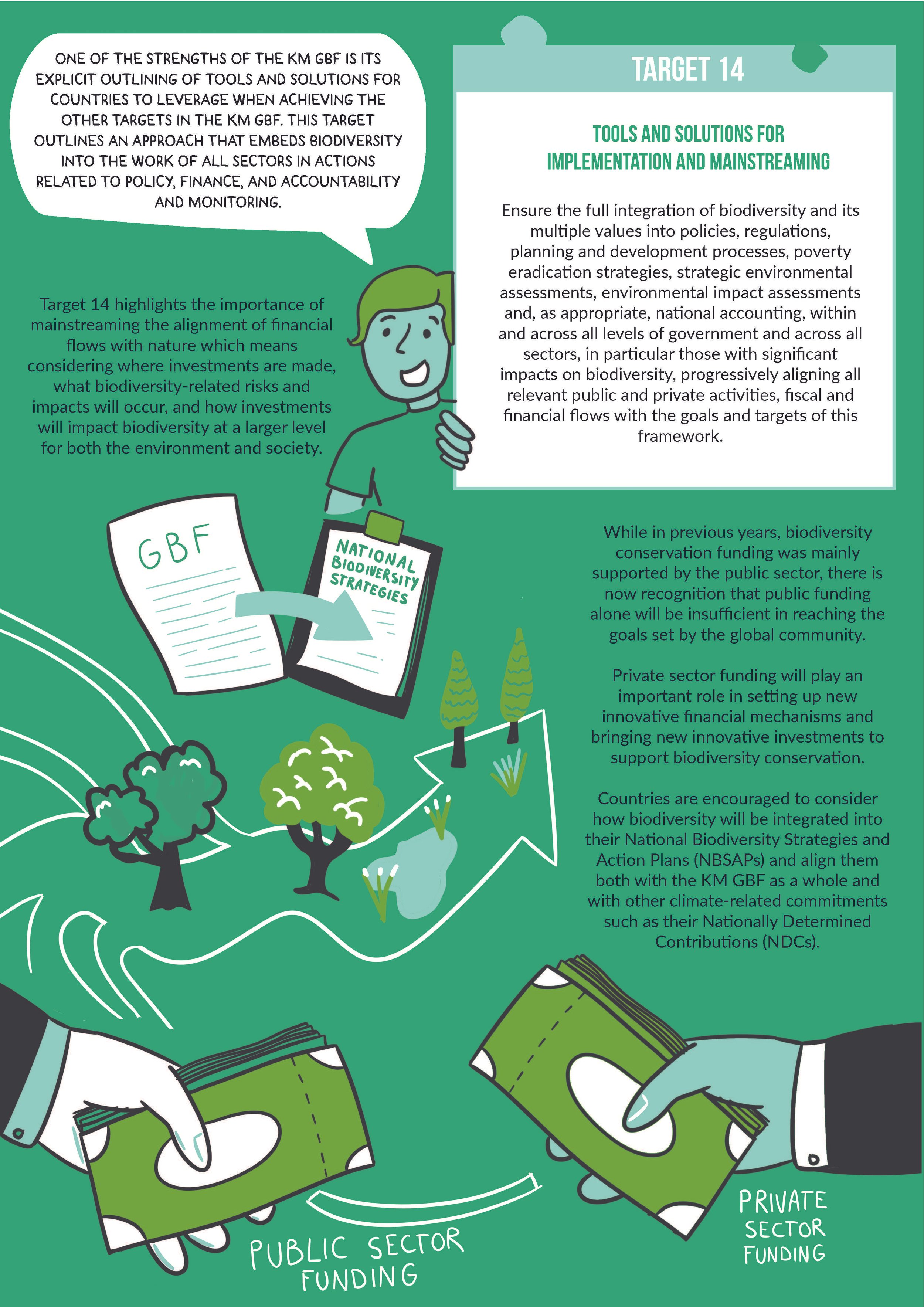 The Global Biodiversity Framework_A Y4N Perspective_Illustrated Report_Page_13.jpg