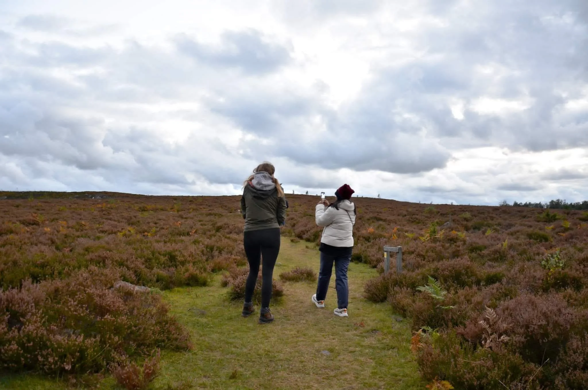 To Plant or Not to Plant: The Challenges and Opportunities of Grassland Afforestation