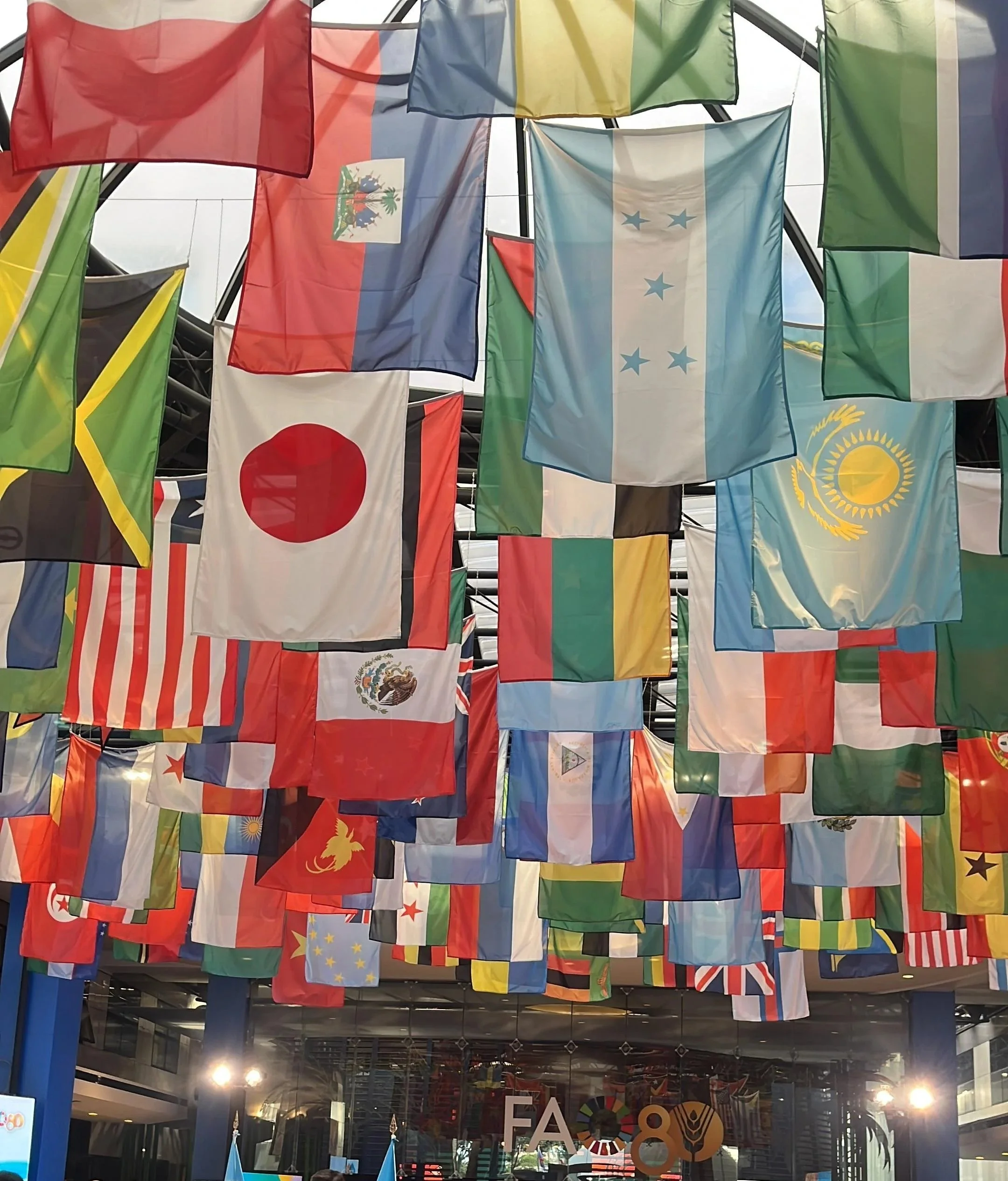 Youth in Rome, Soil to Policy at the World Food Forum 2025