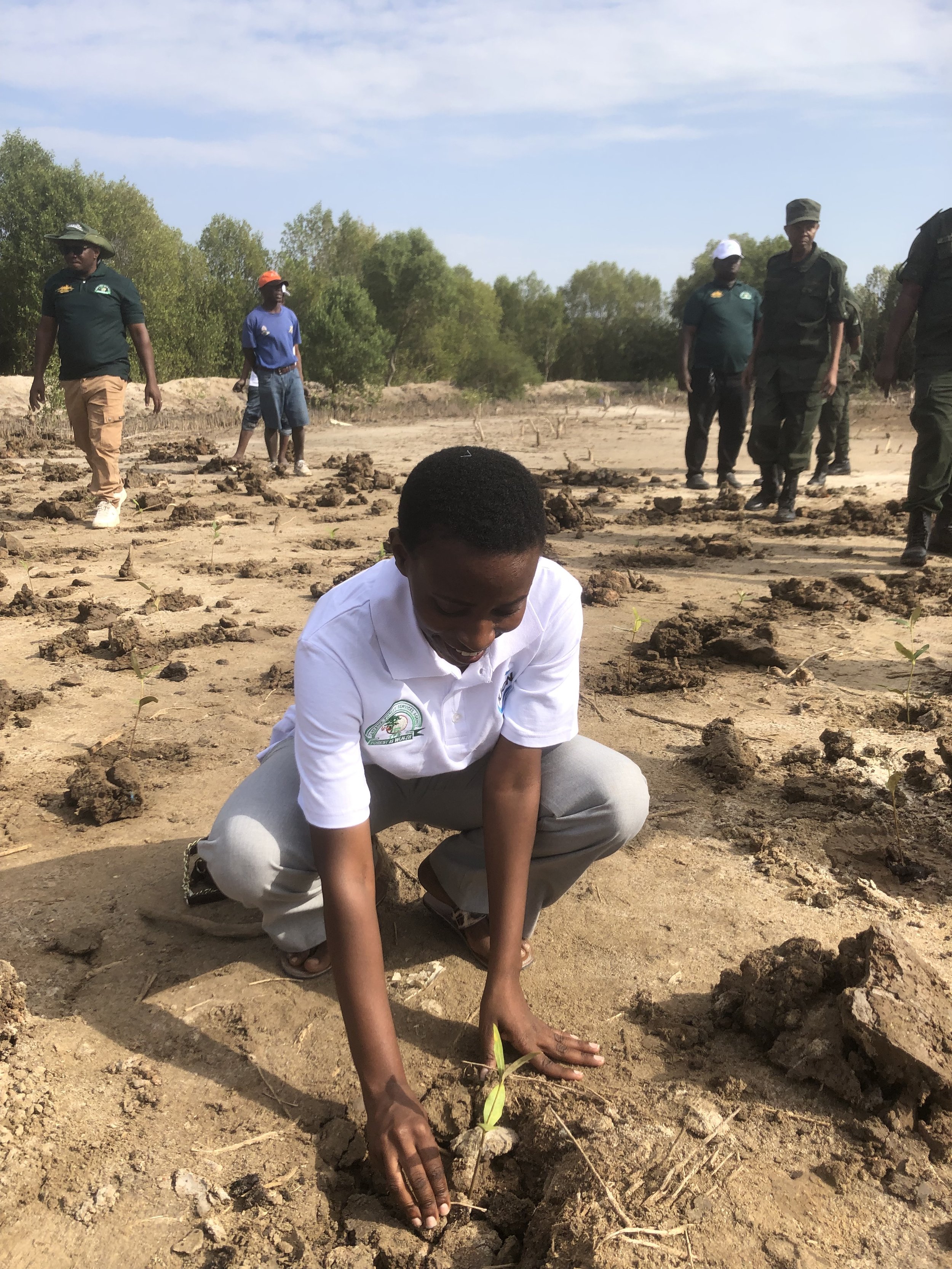 The Lost Generation and the Two Seeds