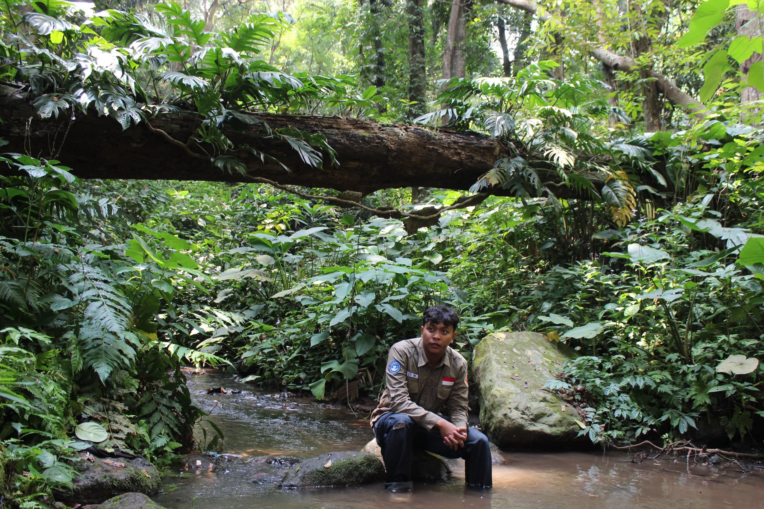 Ripples of Hope : Exploring the Hidden Life of Freshwater and Wetlands in Banten