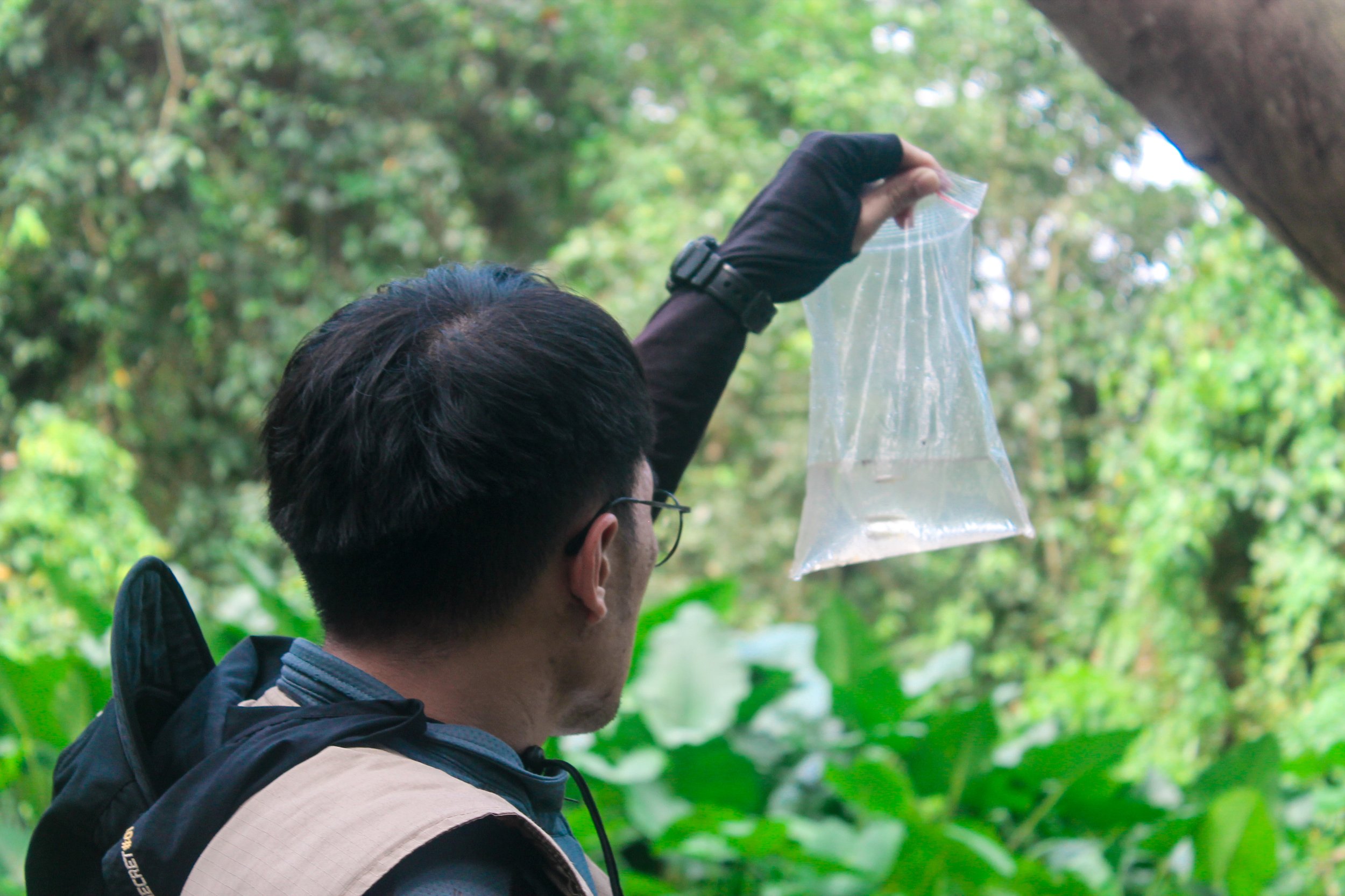 TW STORY 2 - Adi Wiranata.jpg