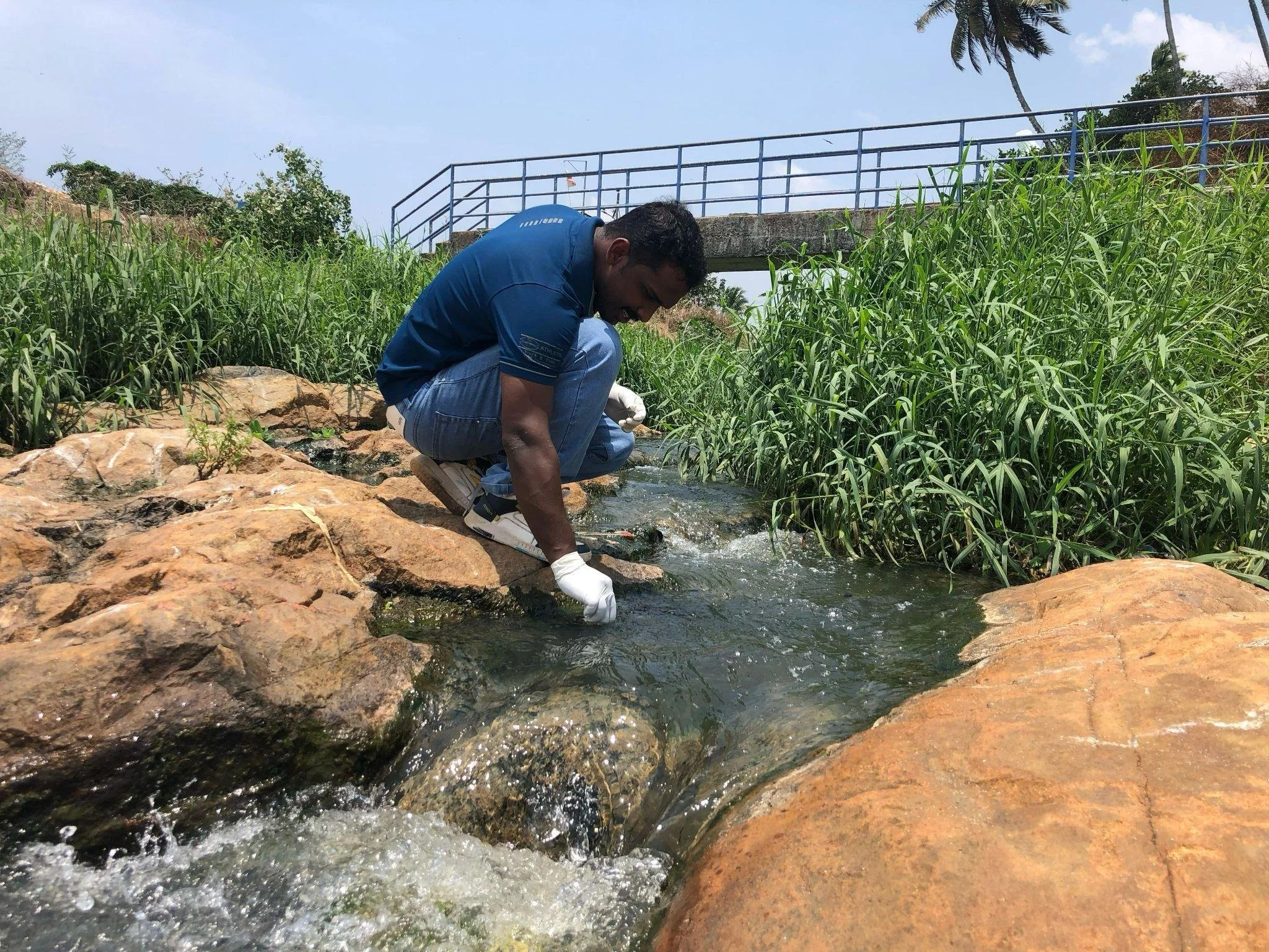 The Canal That Spoke Back