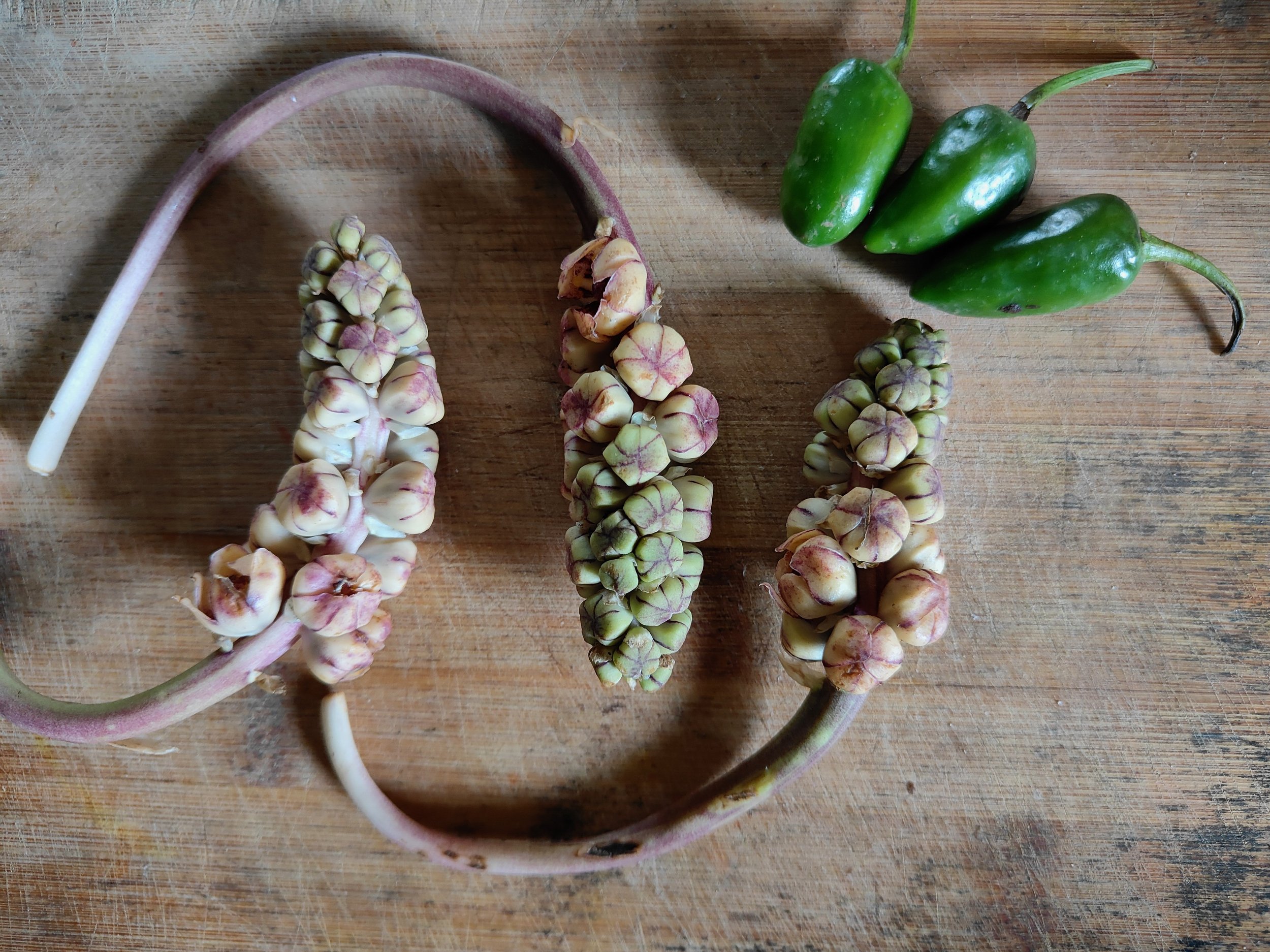 How Long Will We Remember?