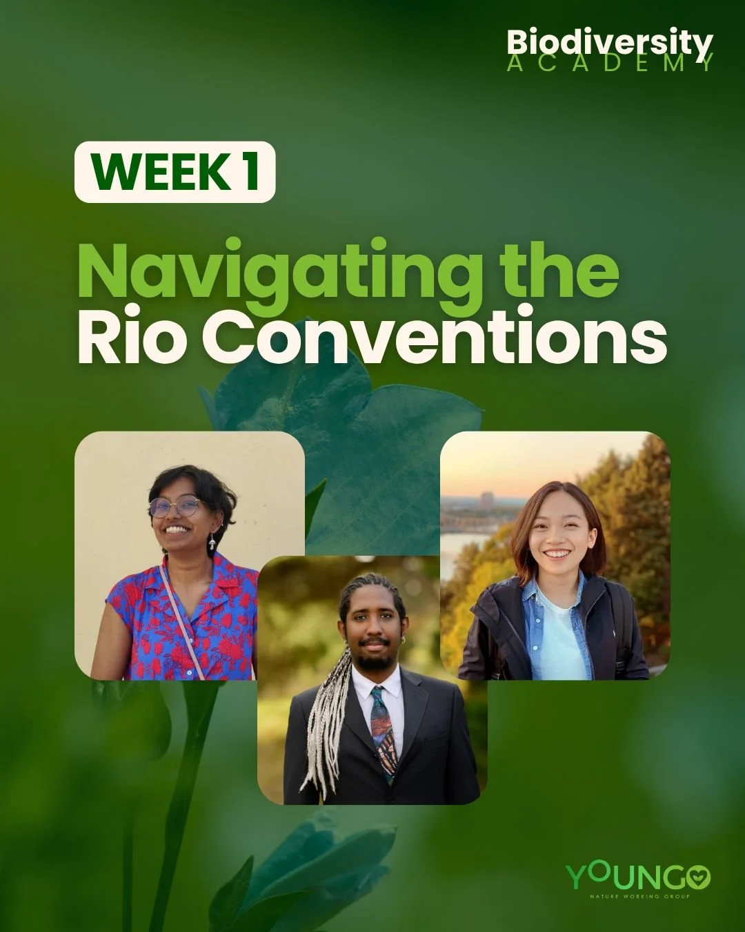 Biodiversity Academy: Navigating the UN Rio Conventions
