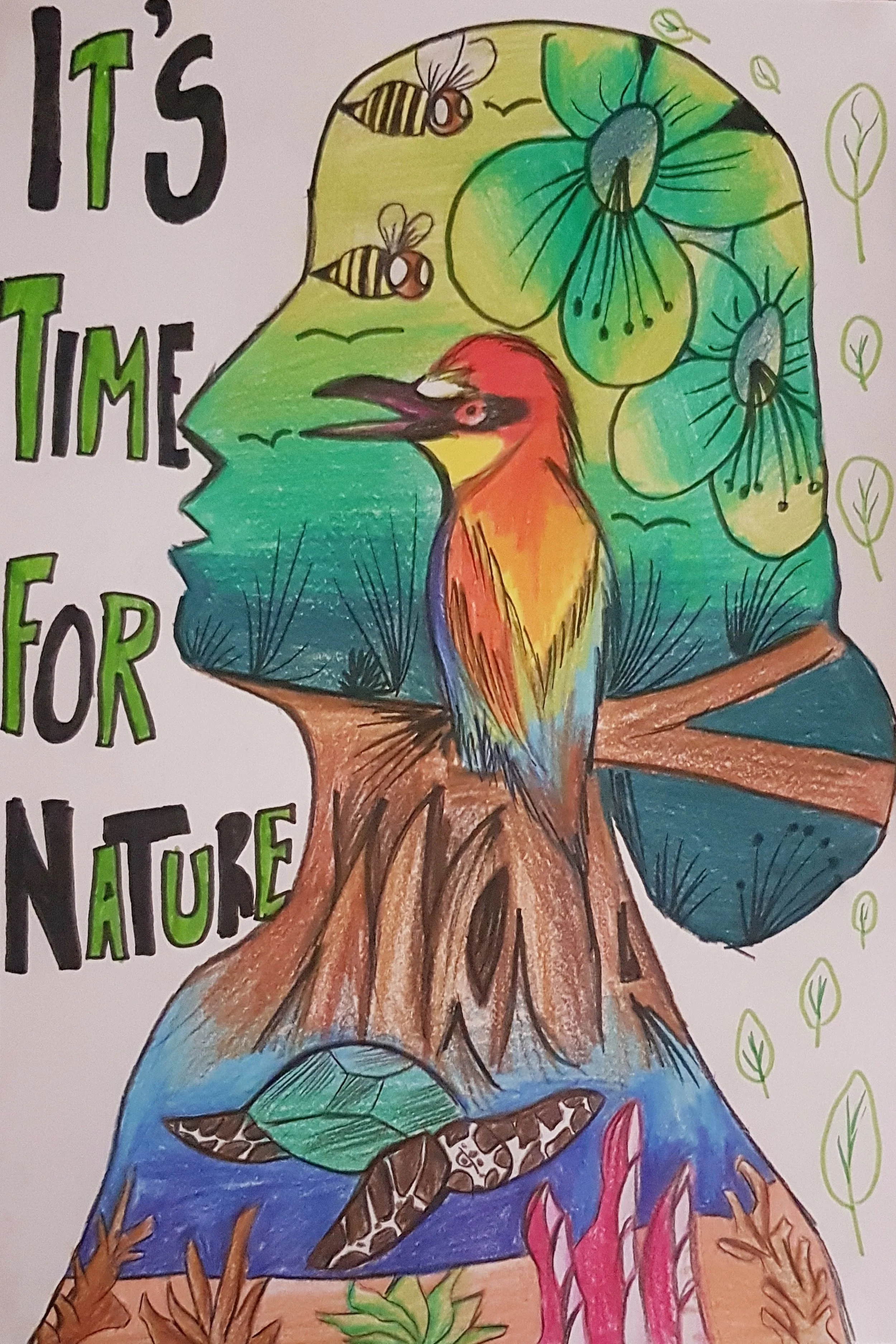 Environment Risk Community Drawing Environmental Awareness Drawings