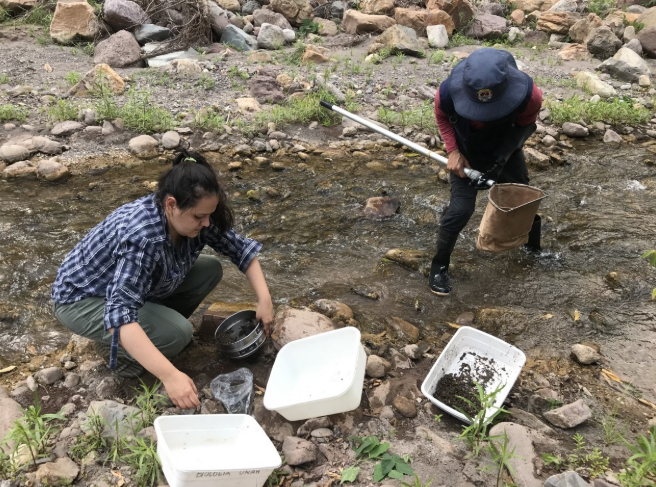 From Migration to Mobilization: The Role of Youth and Nature in Climate Resilience