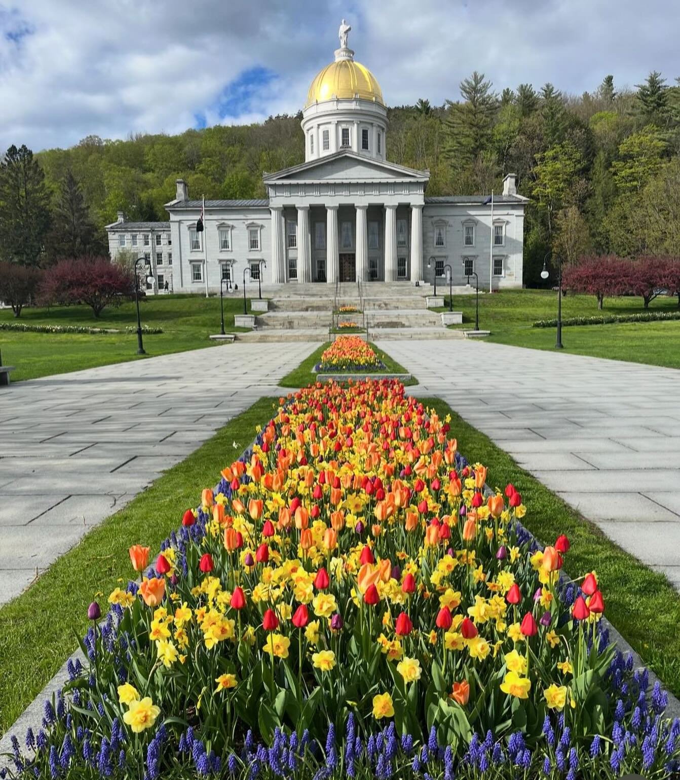 We love being part of the downtown business community in the Vermont State Capitol. 🙌 This beautiful display is just in time for Mother&rsquo;s Day weekend ~ Enjoy!