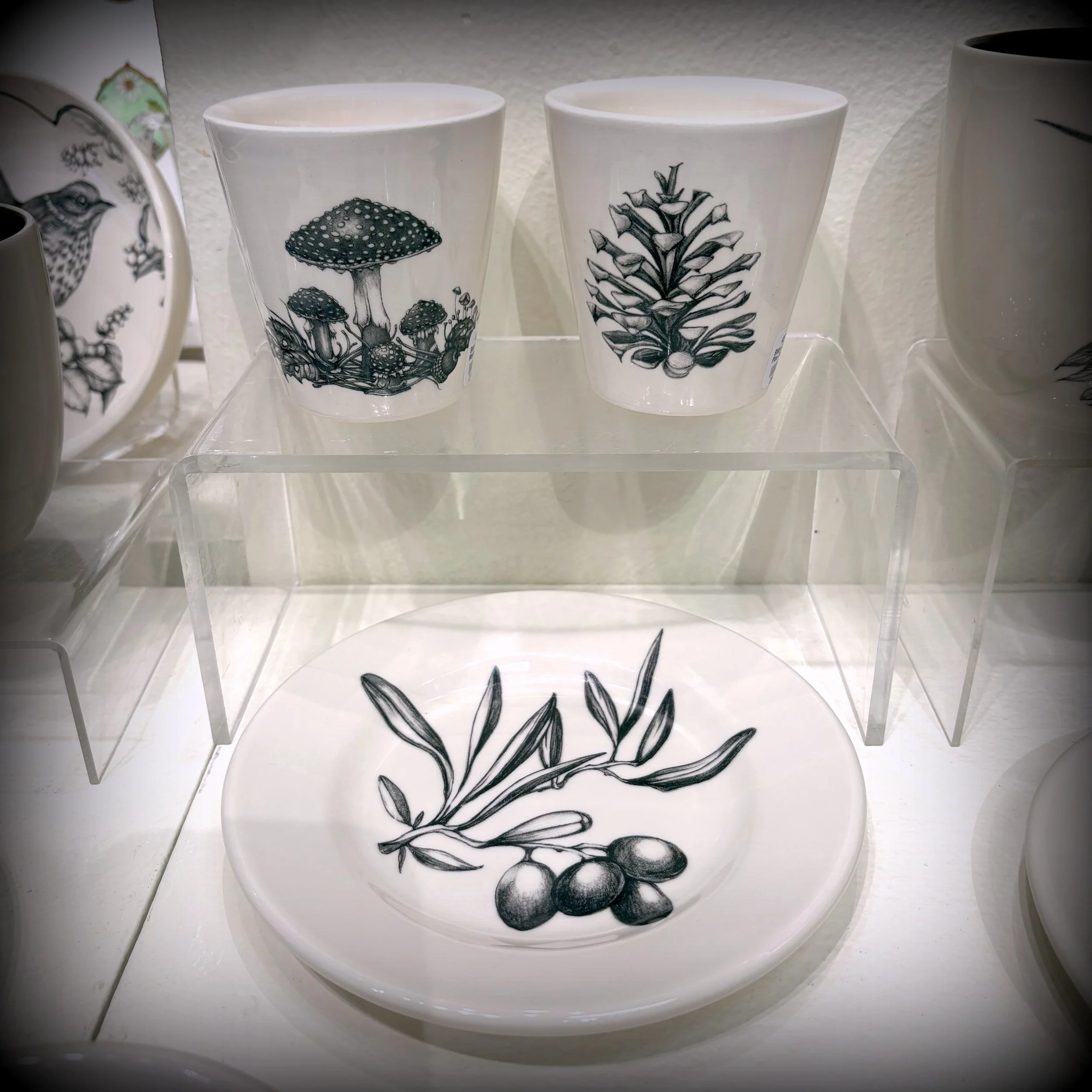 New Work from Laura Zindel!