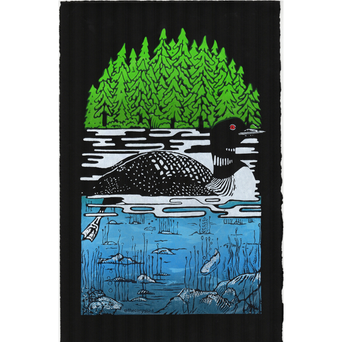 Loon by Jo Marsan.png