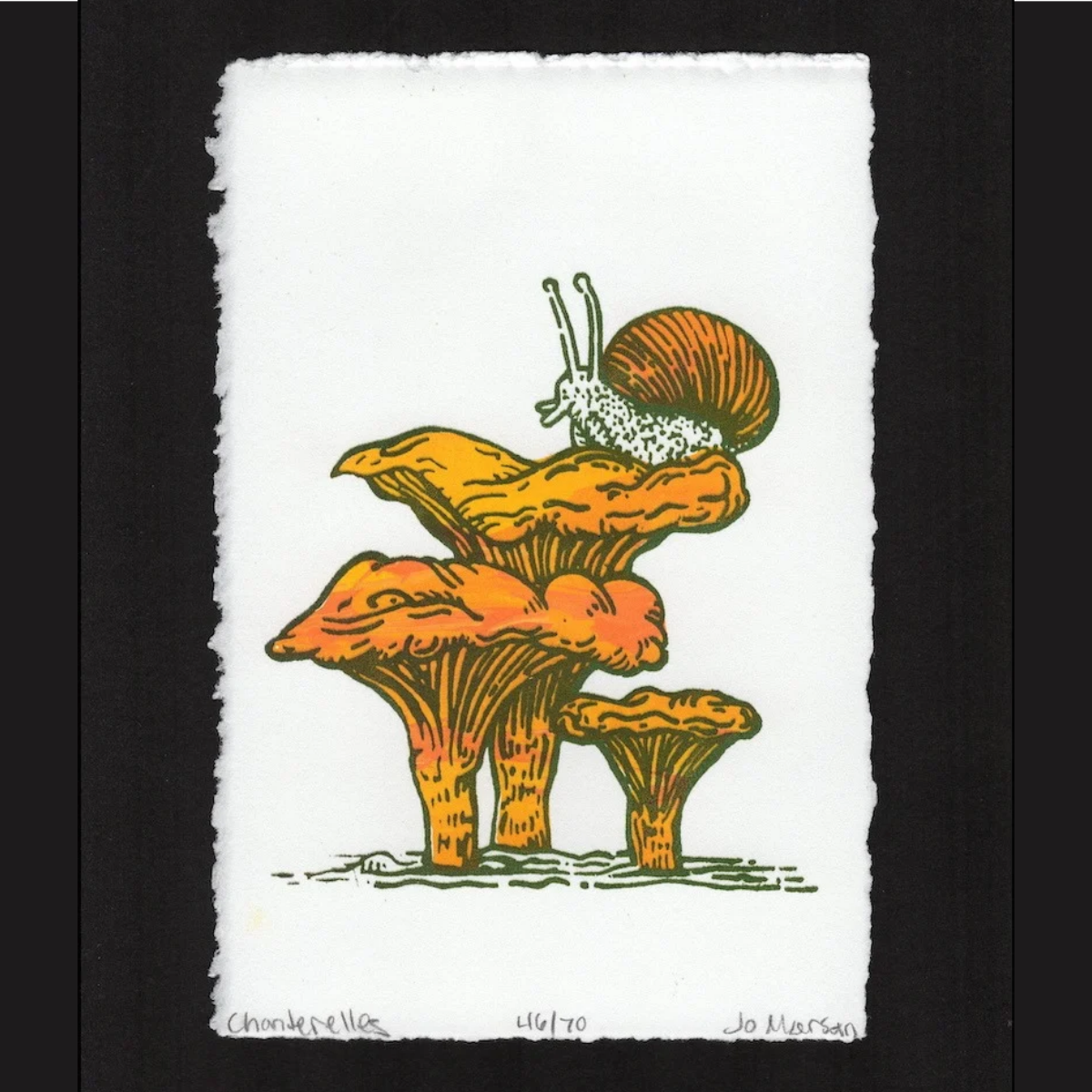Chanterelles & Snail by Jo Marsan.png