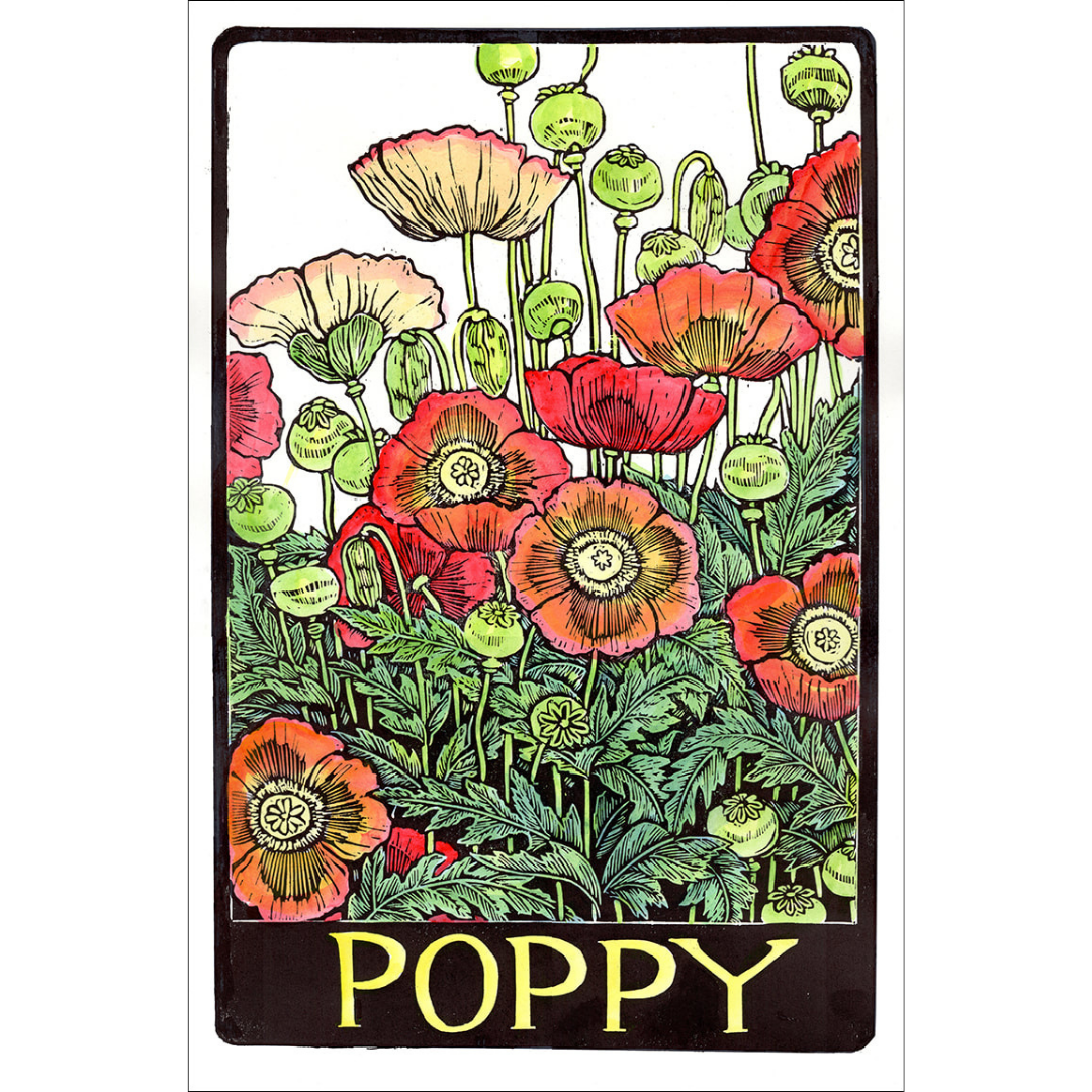 Poppy.png