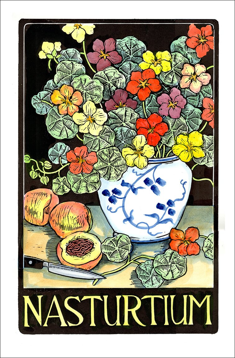 Nasturtium.jpg