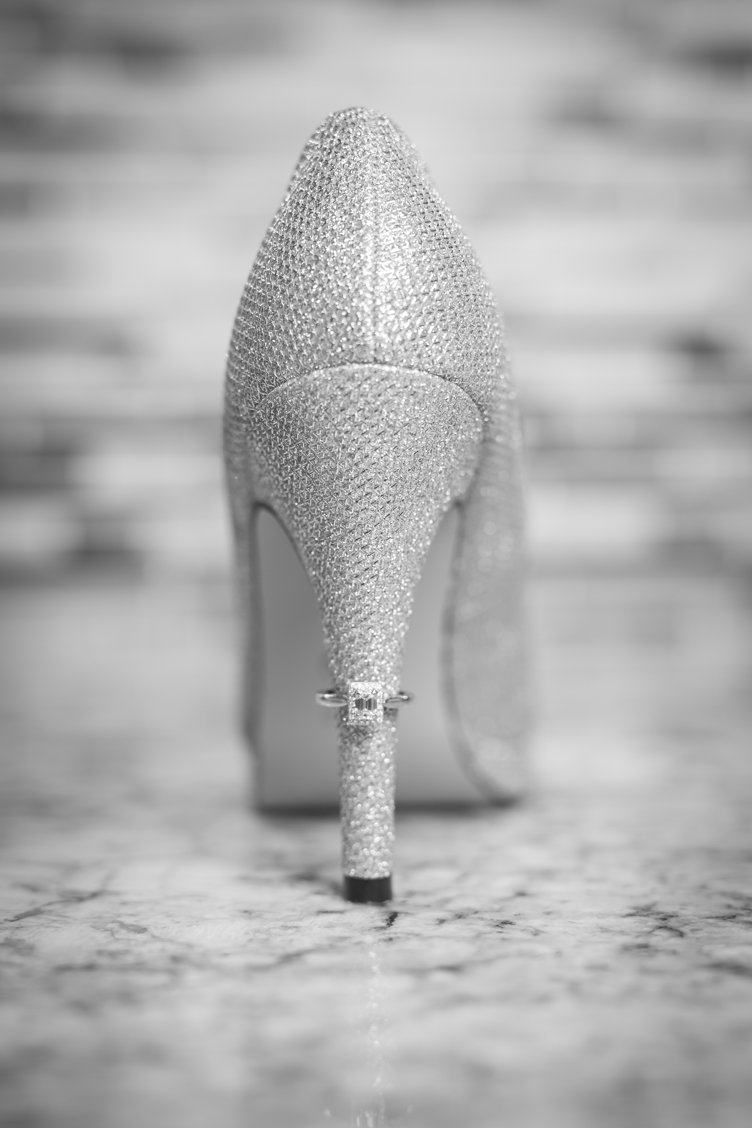 old-favourites-web-22.jpg