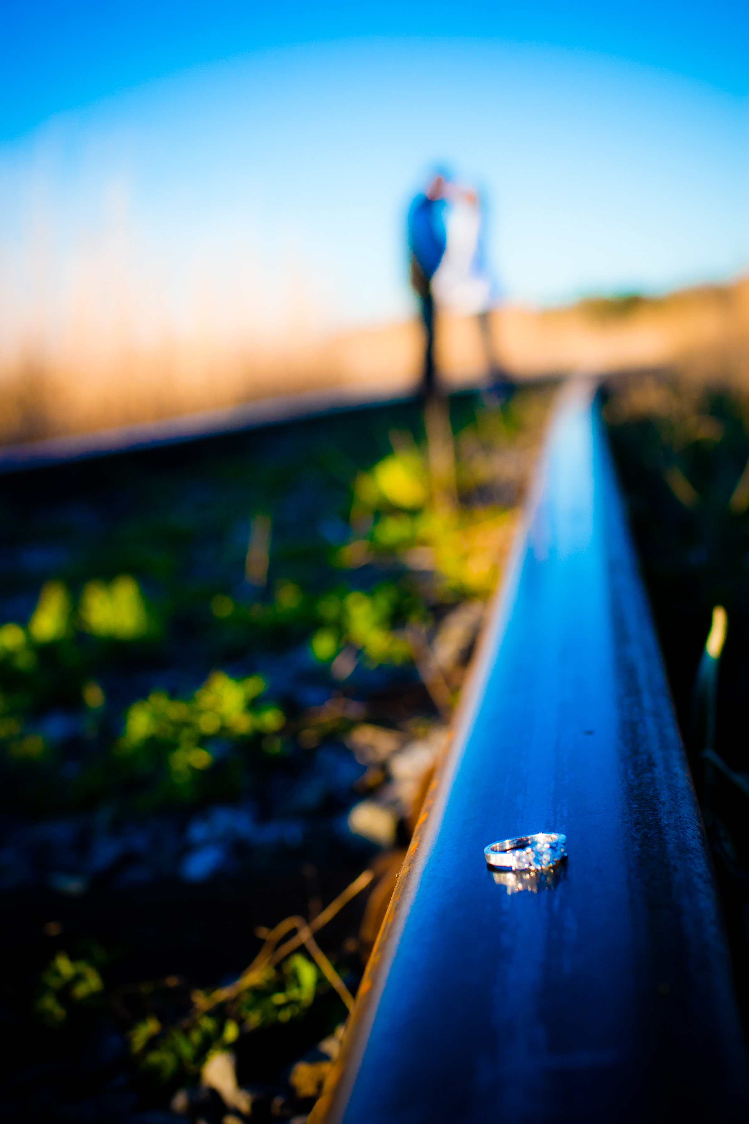 old-favourites-web-35.jpg