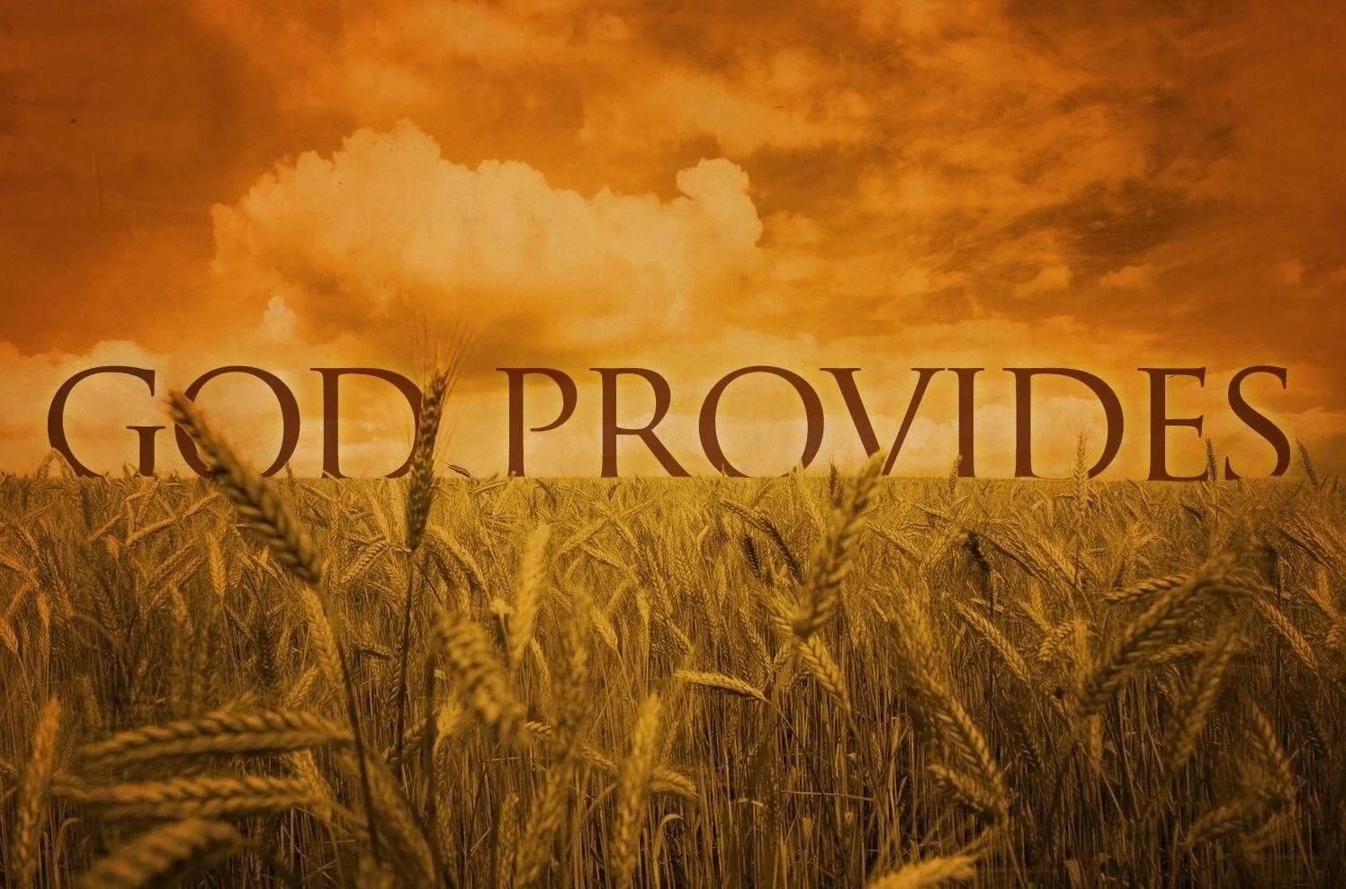 God Provides: Week 1
