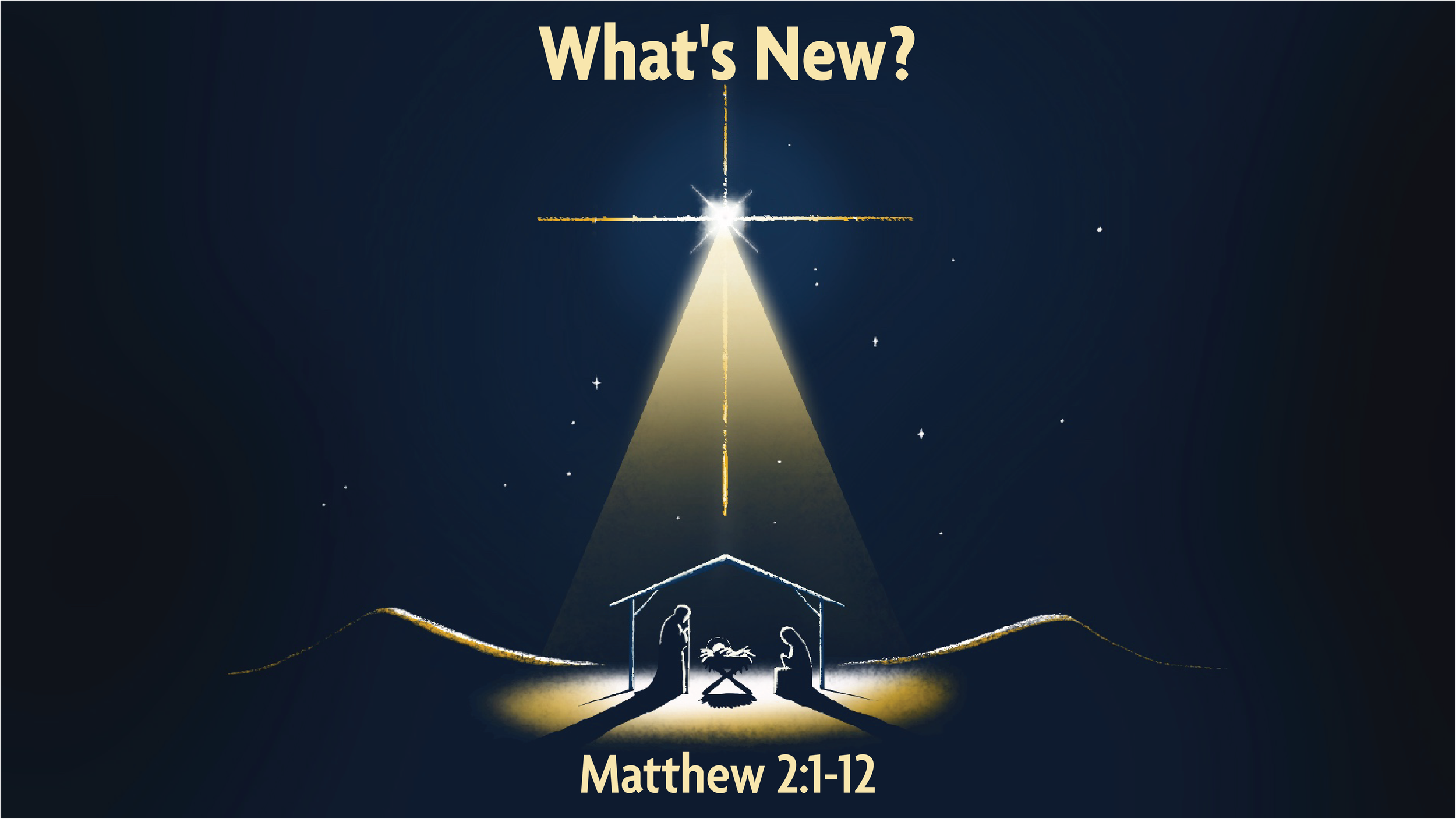 December 22, 2024 | What's New