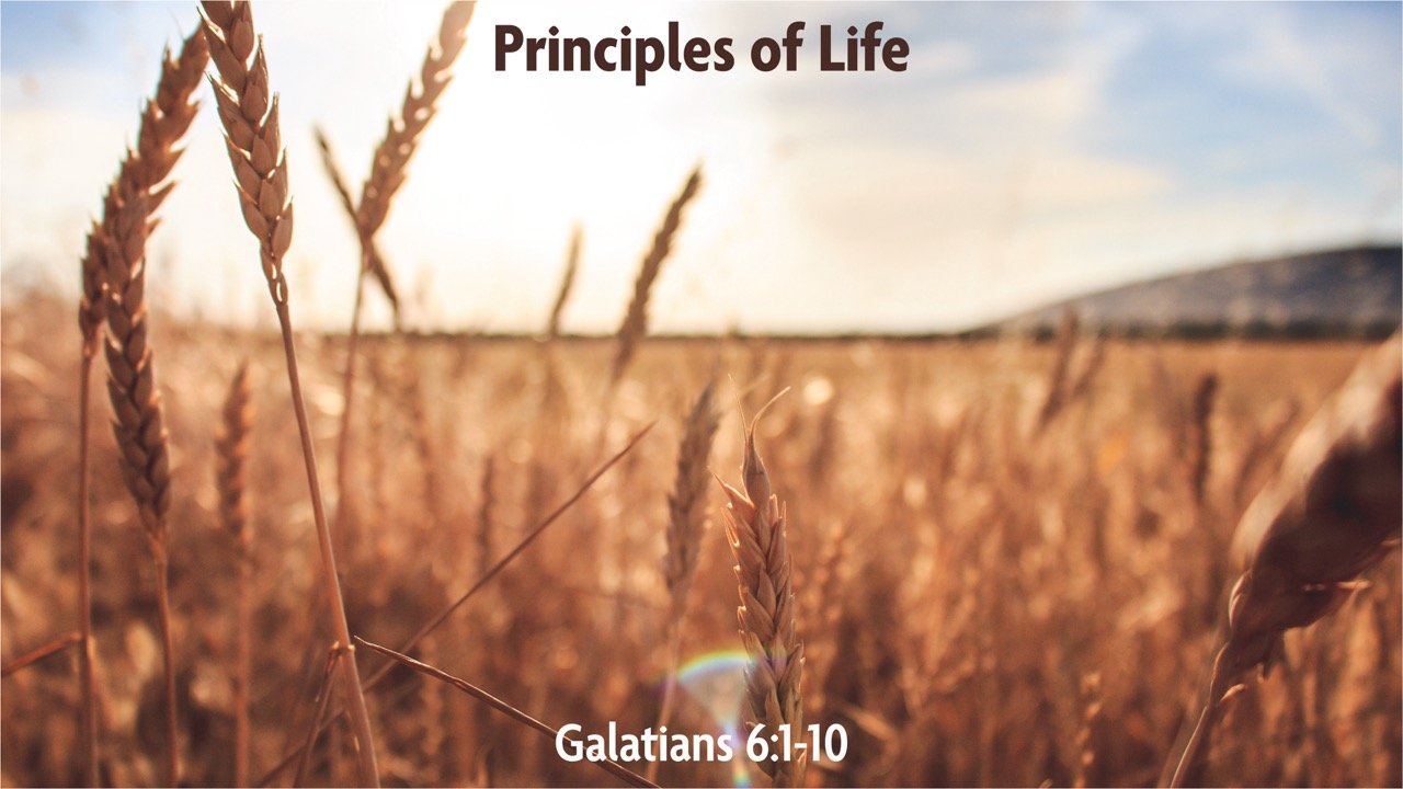Jan. 19, 2025 | Principles of Life