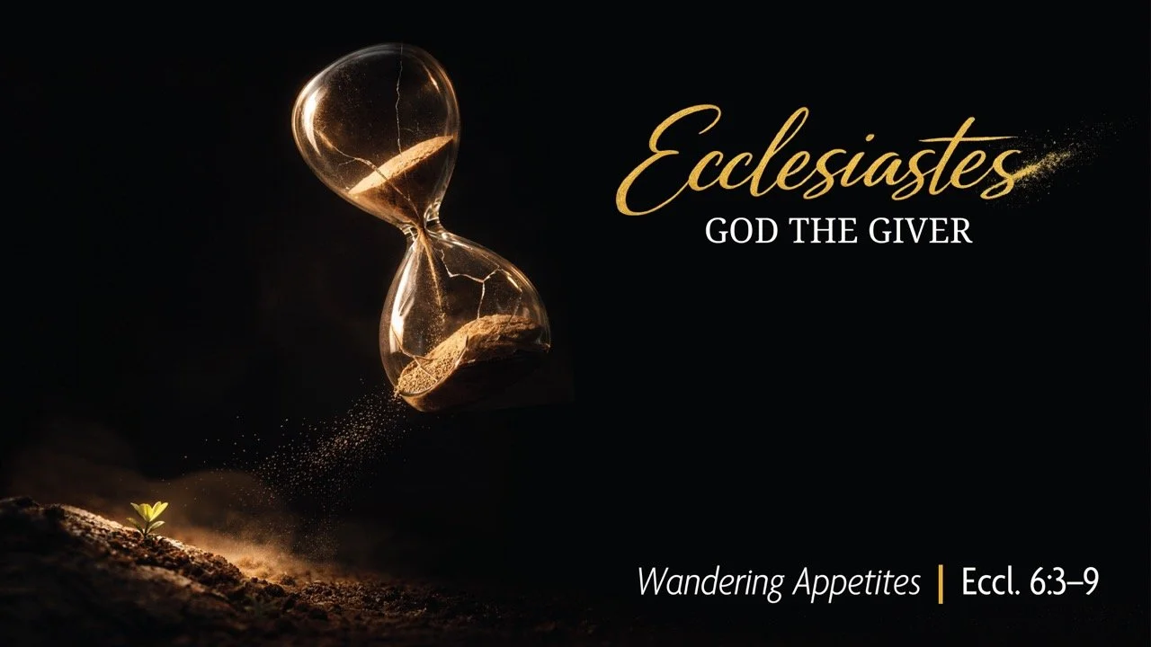June 28, 2026 | Wandering Appetites