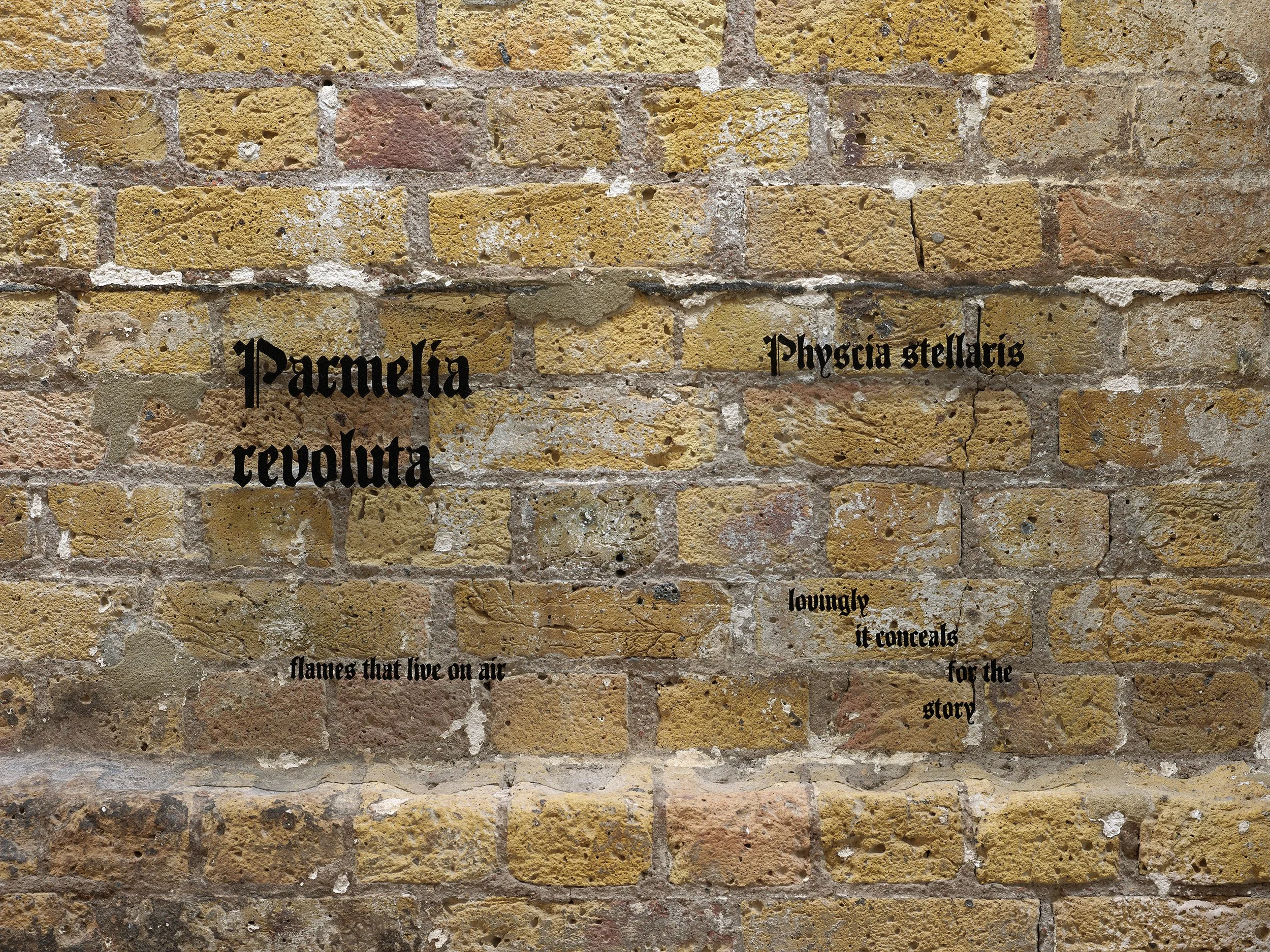 Lucy Mercer_THE_HANDS_THAT_SHUT_THE_SUN_Installview_Hollybush Gardens_Photo Andy Keate_web_18.jpg