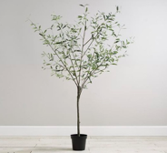 Screen Shot 2020-04-10 at 4.17.44 PM.png