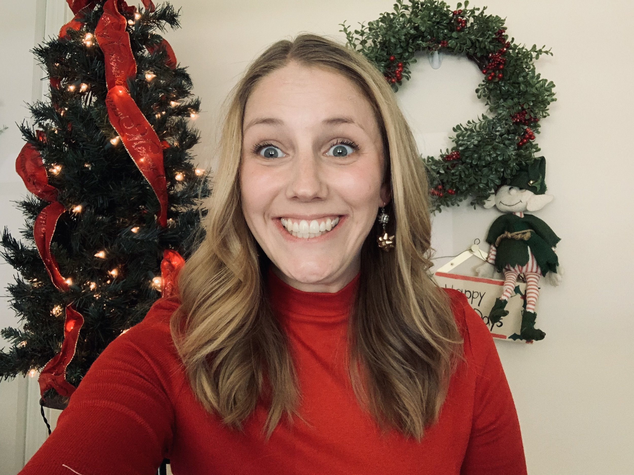 Gingerbreaders' Behind the Scenes Questionnaire — The Giddy Chick