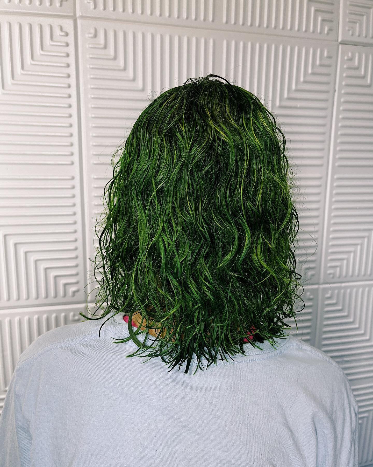 how cool is this green for Spider? i&rsquo;m obsessed with how it turned out 💚 swipe for the before! 

&bull;
&bull;
&bull;
&bull;
&bull;
&bull;
&bull;
#greenhair #urbanfringe #nc #salon #stylist #paulmitchellsalons #chapelhillsalon #colortransforma