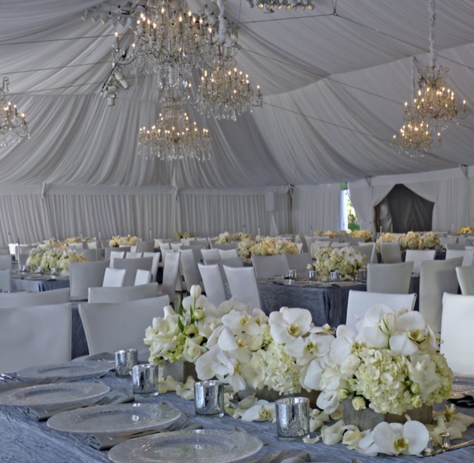 Screenshot 2026-01-26 at 10.00.28 AM.png