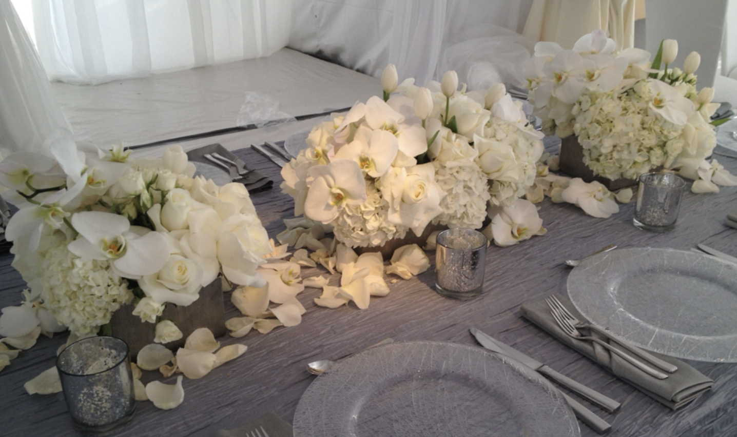 Screenshot 2026-01-26 at 10.00.19 AM.png